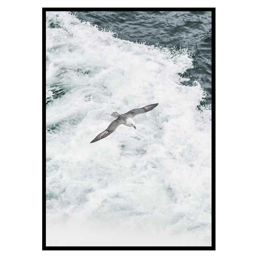 Poster Gallerix Grey Seagull