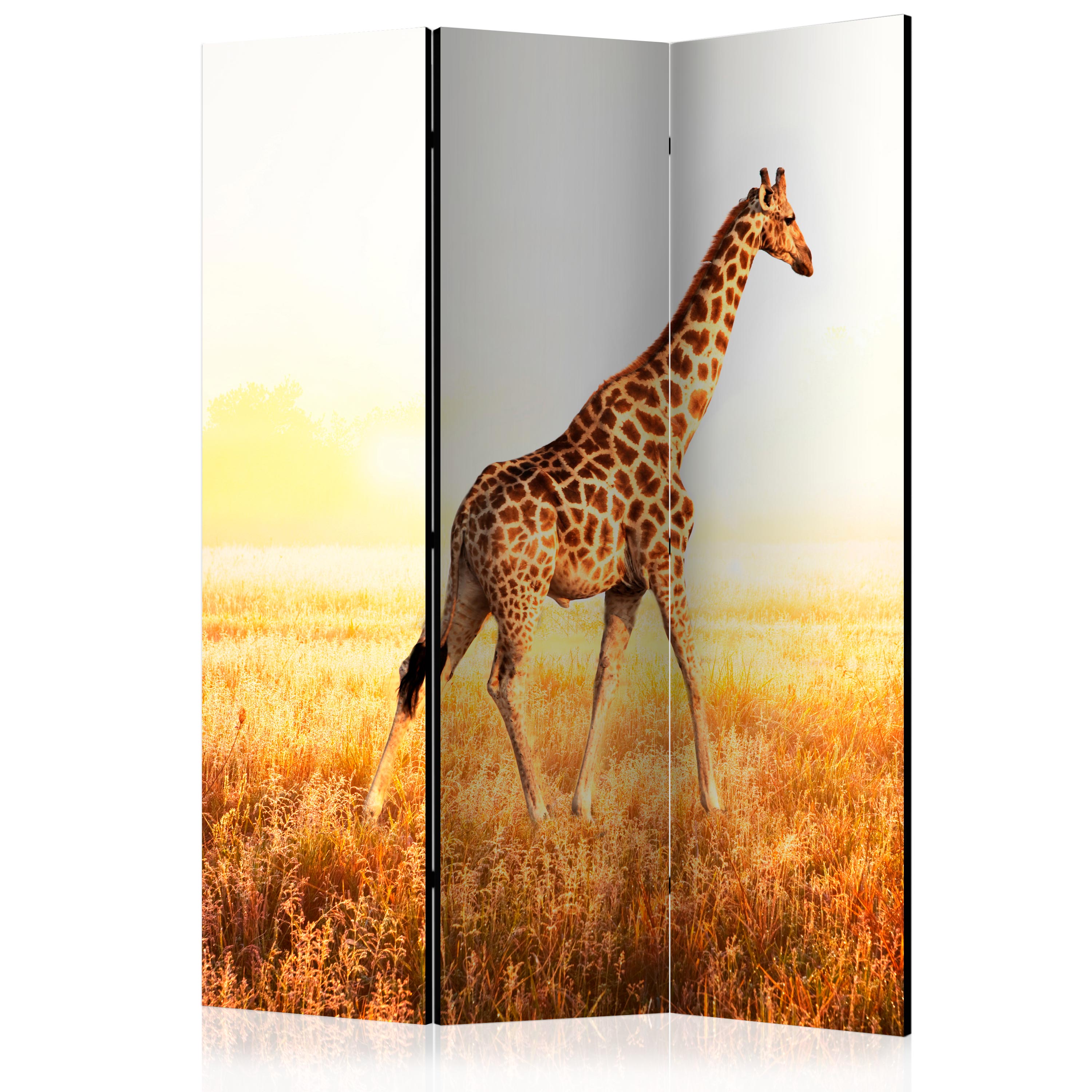 Rumsavdelare Skärmvägg Arkiio Giraffe Walk 135x172 cm