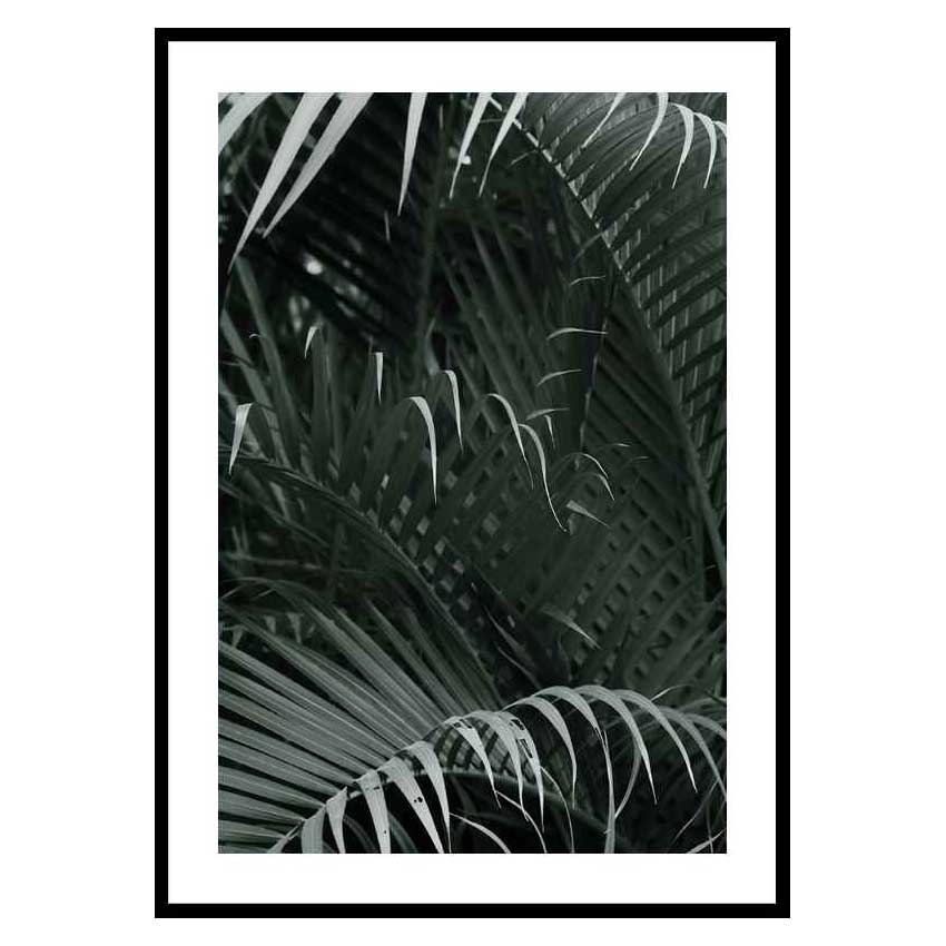 Poster Gallerix Palm Leaf No1