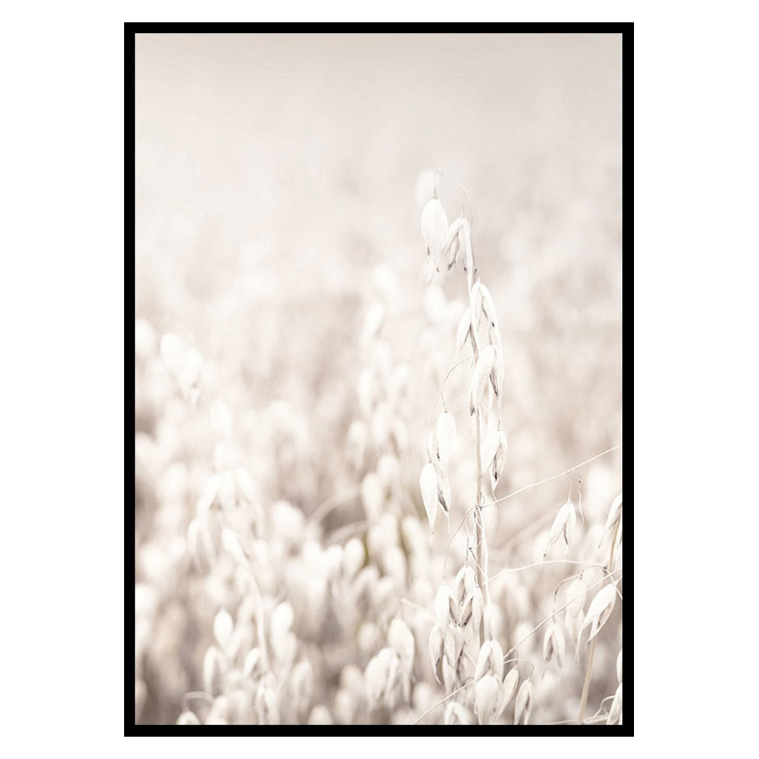 Poster Gallerix Oats