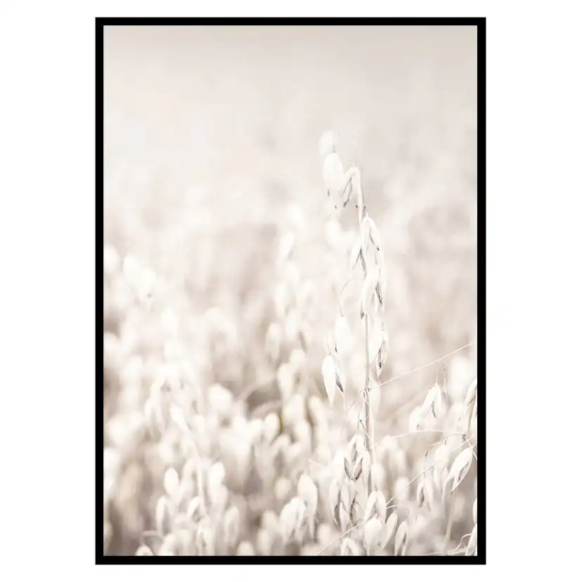 Poster Gallerix Oats