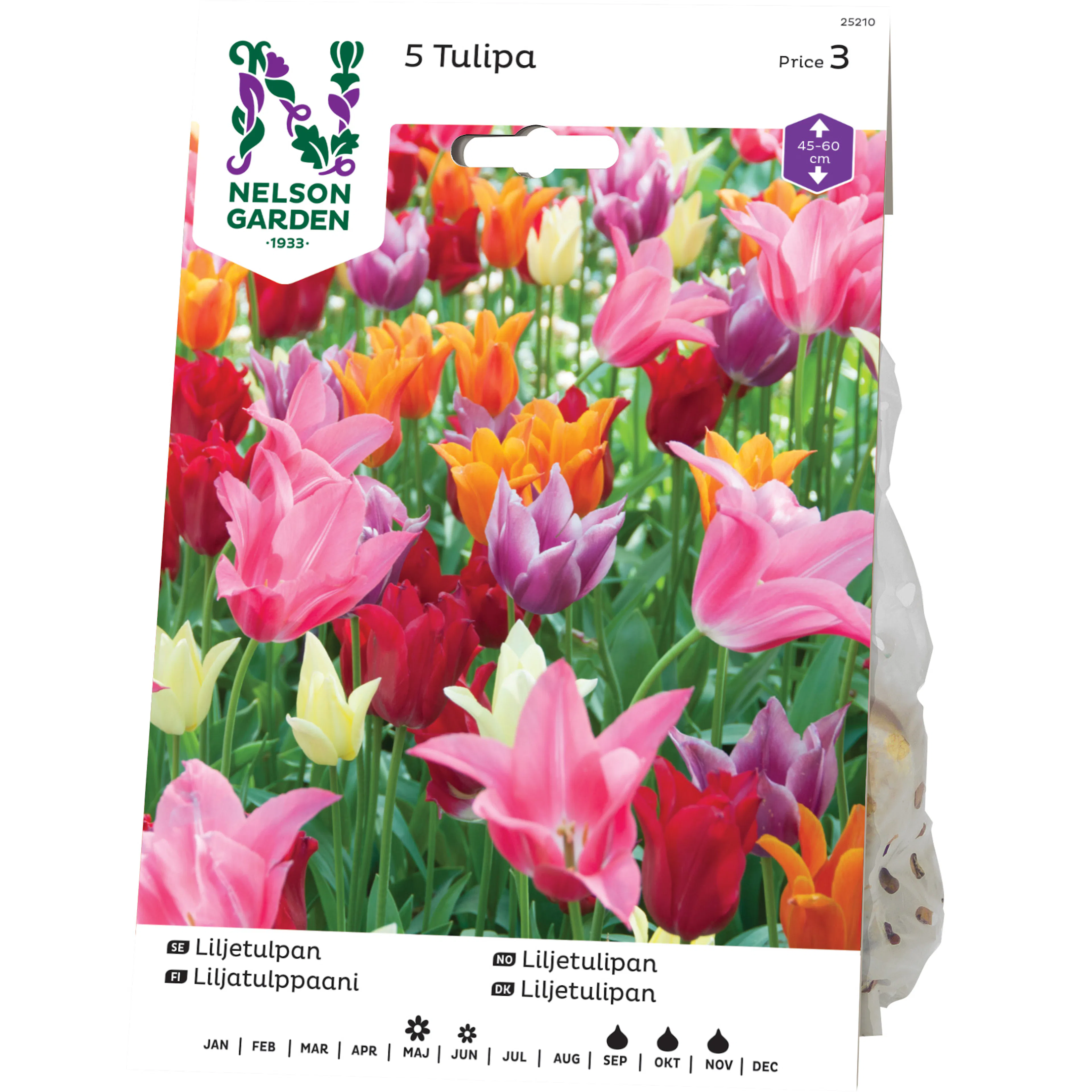 Liljetulpan Nelson Garden Blandade Färger