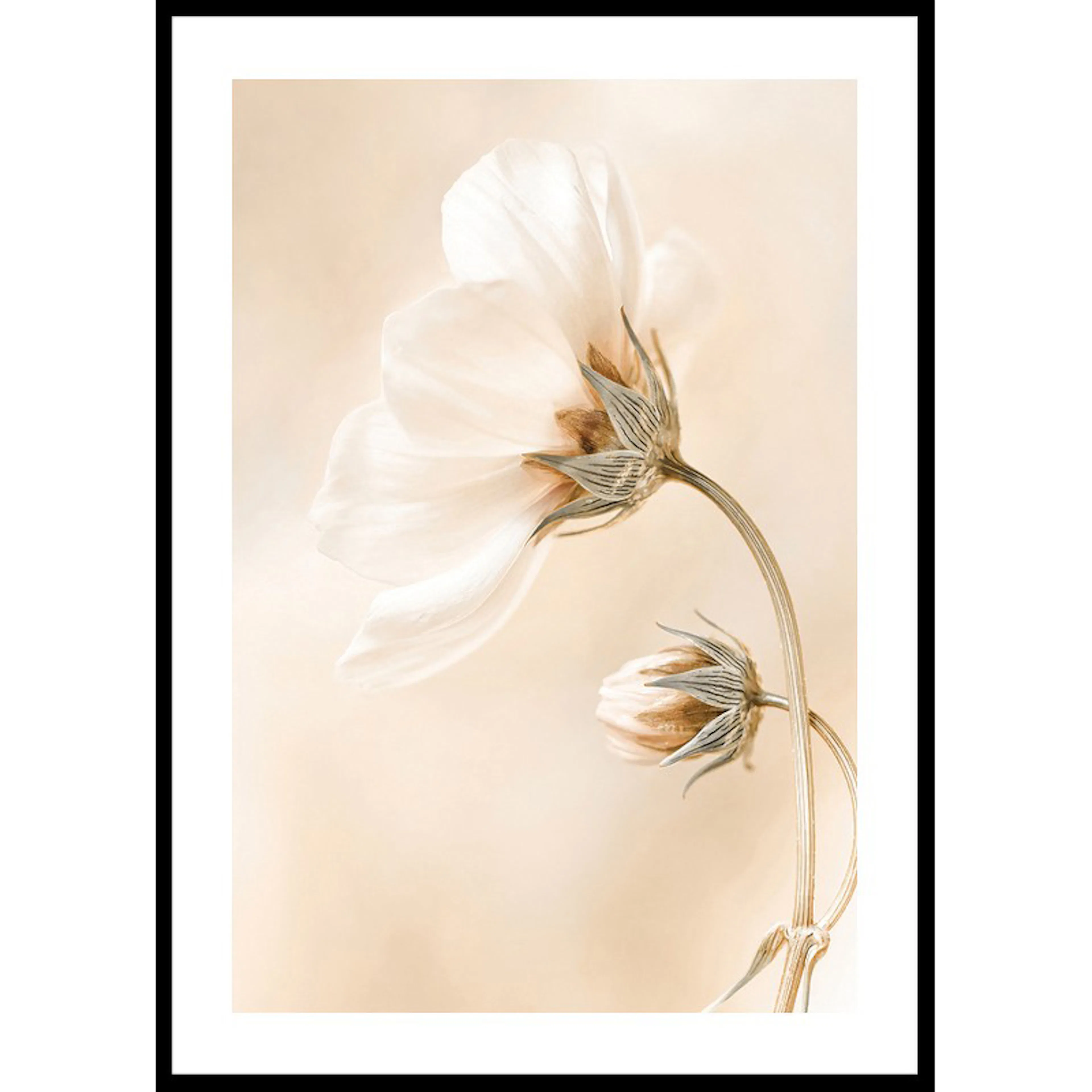 Spring Flowers No1 70x100 70x100 cm