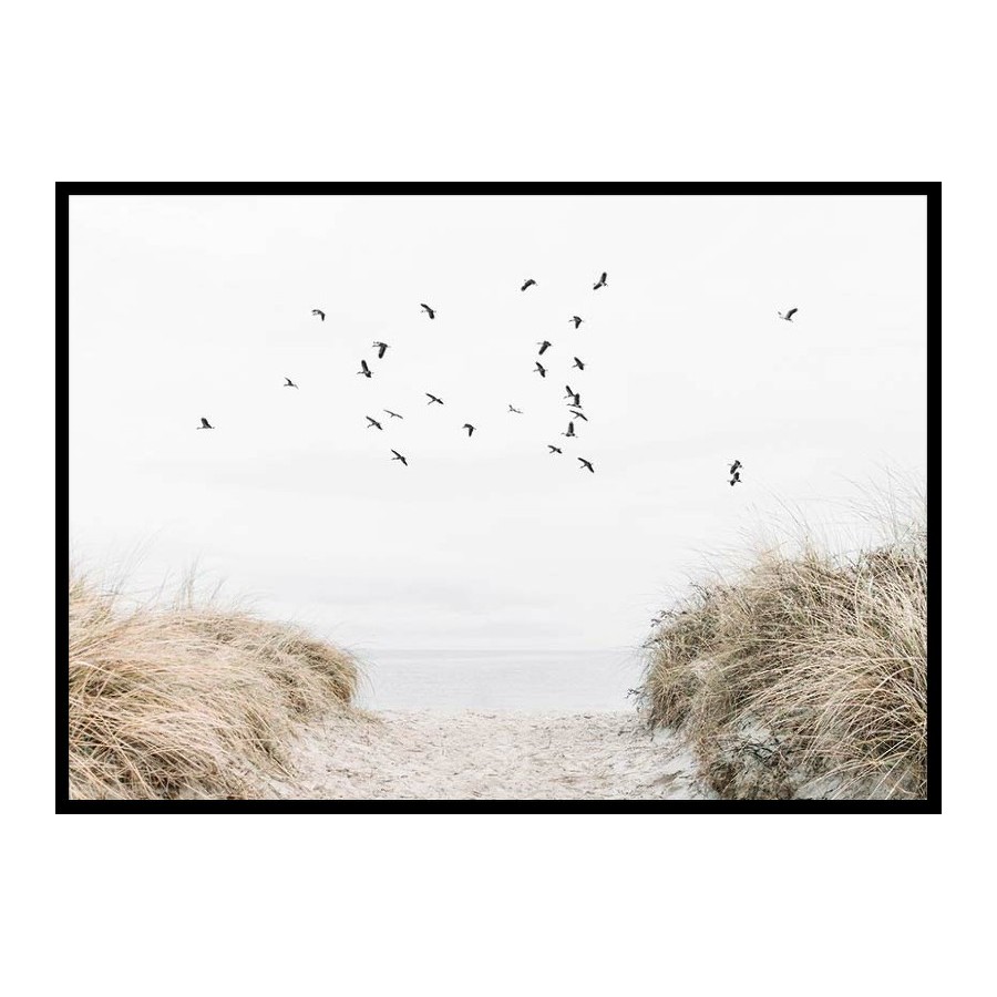 Poster Gallerix Free As A Bird