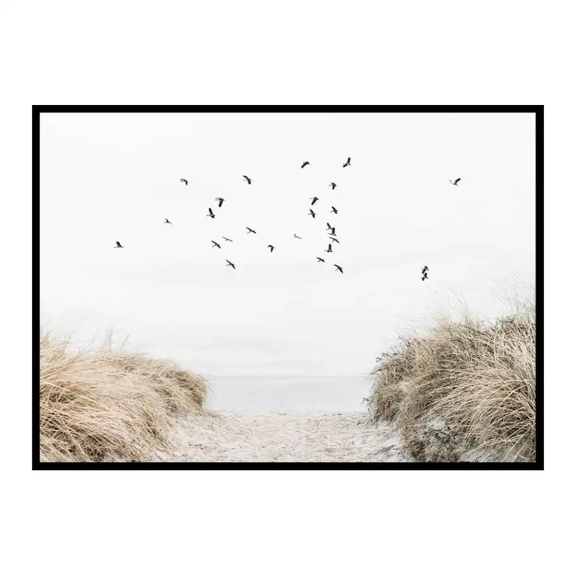 Poster Gallerix Free As A Bird