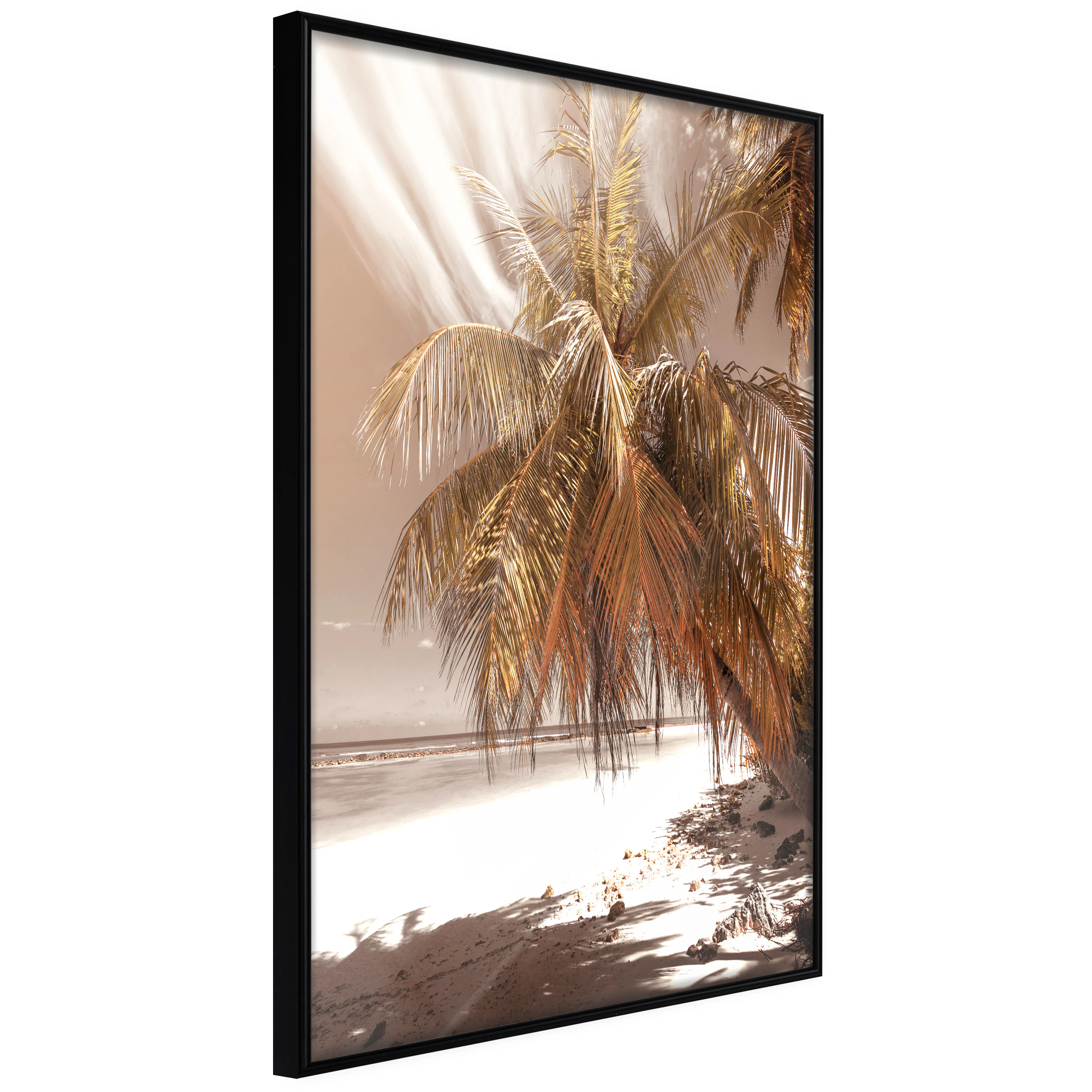 Affisch - Palm Shadow [Poster] 30x45 Svart ram, 30x45 cm