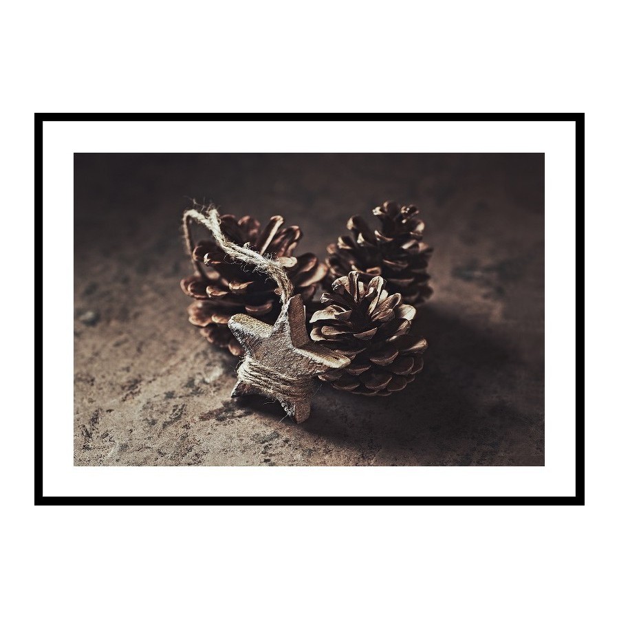 Poster Gallerix Tree Cones