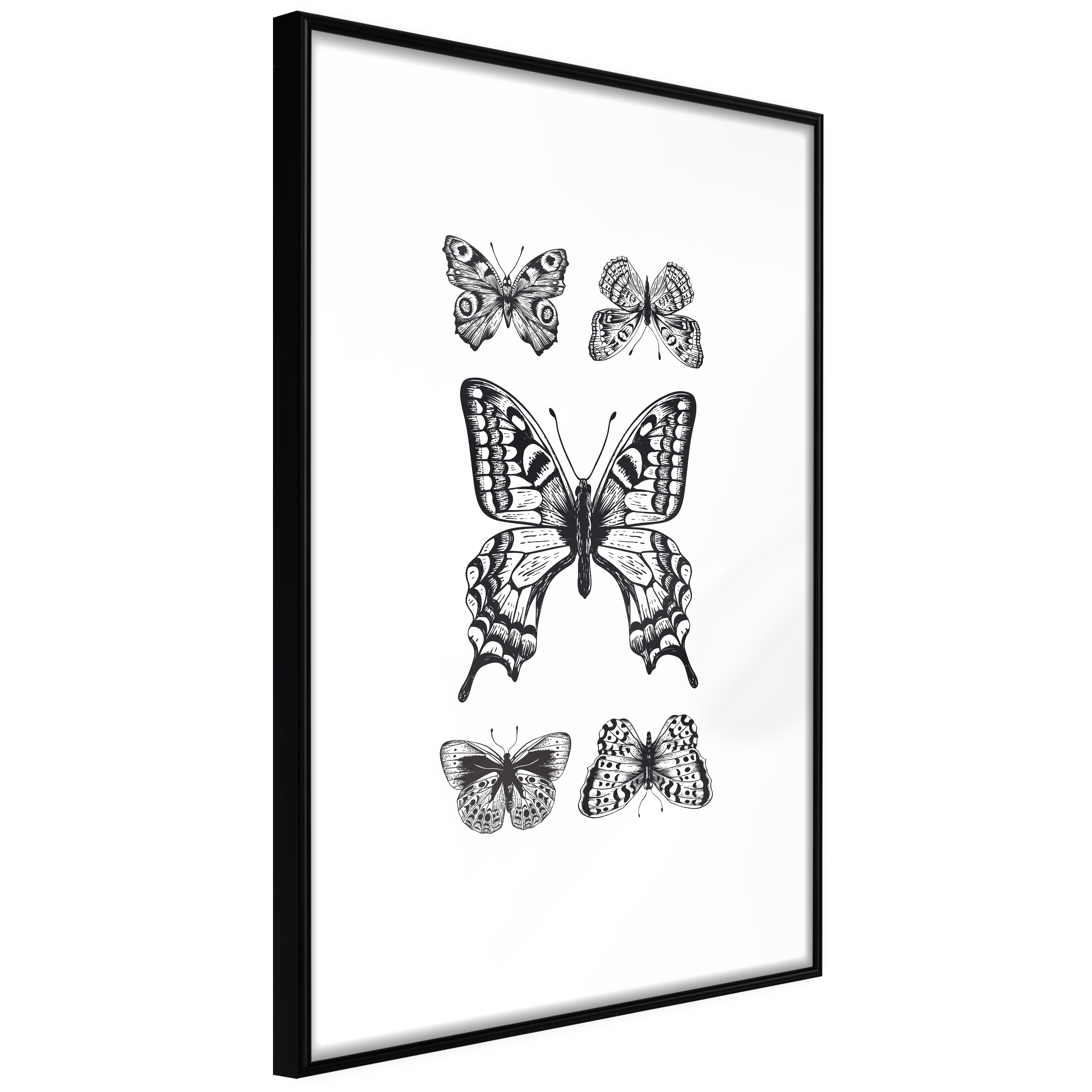 Affisch - Five Butterflies [Poster] 30x45 Svart ram, 30x45 cm