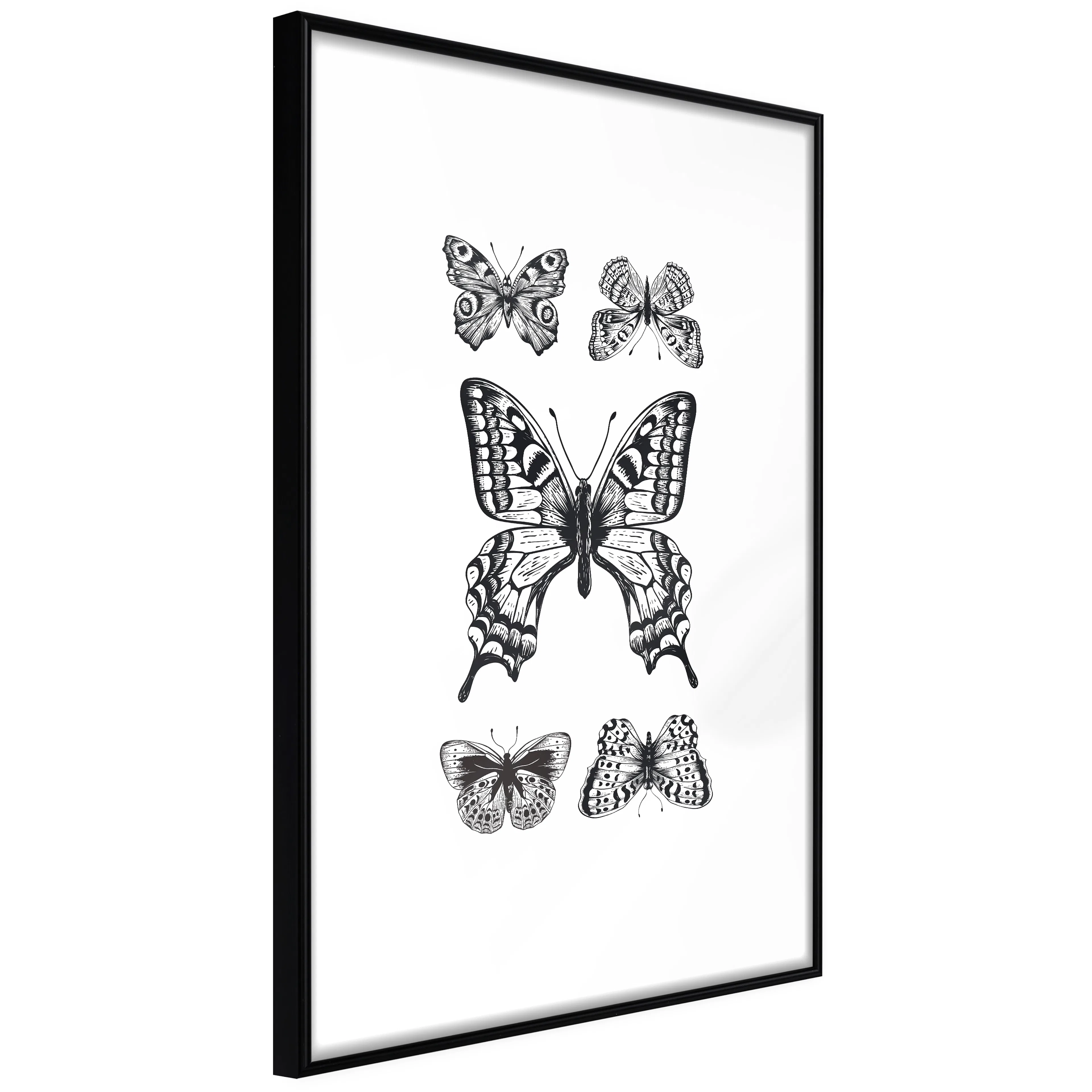 Affisch - Five Butterflies [Poster] 20x30 Svart ram, 20x30 cm