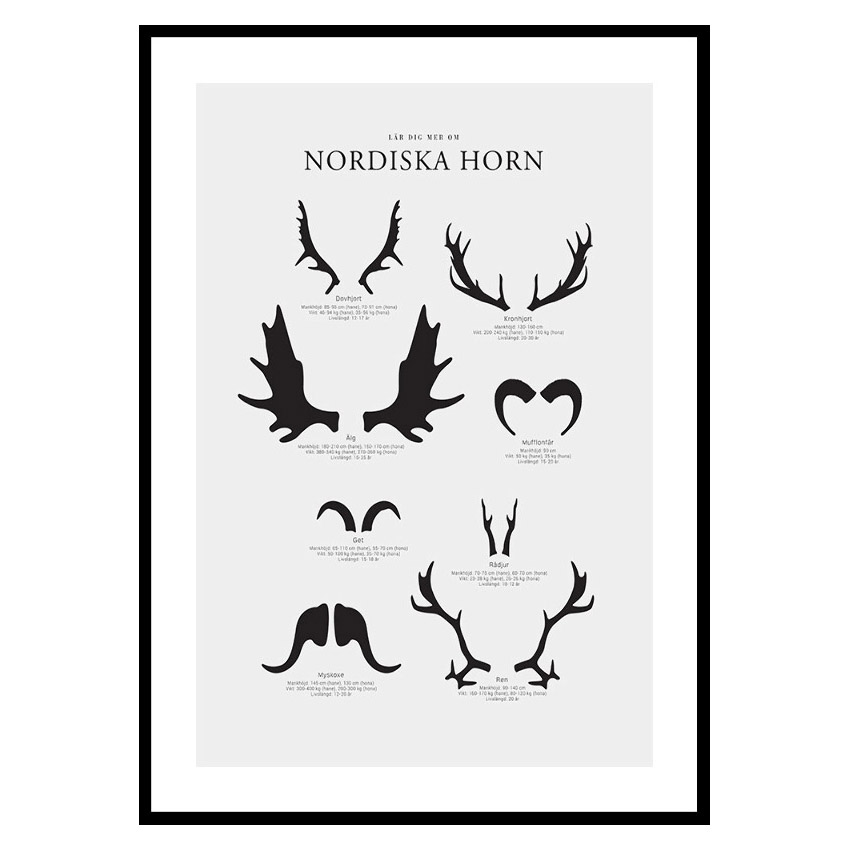 Poster Gallerix Nordiska Horn