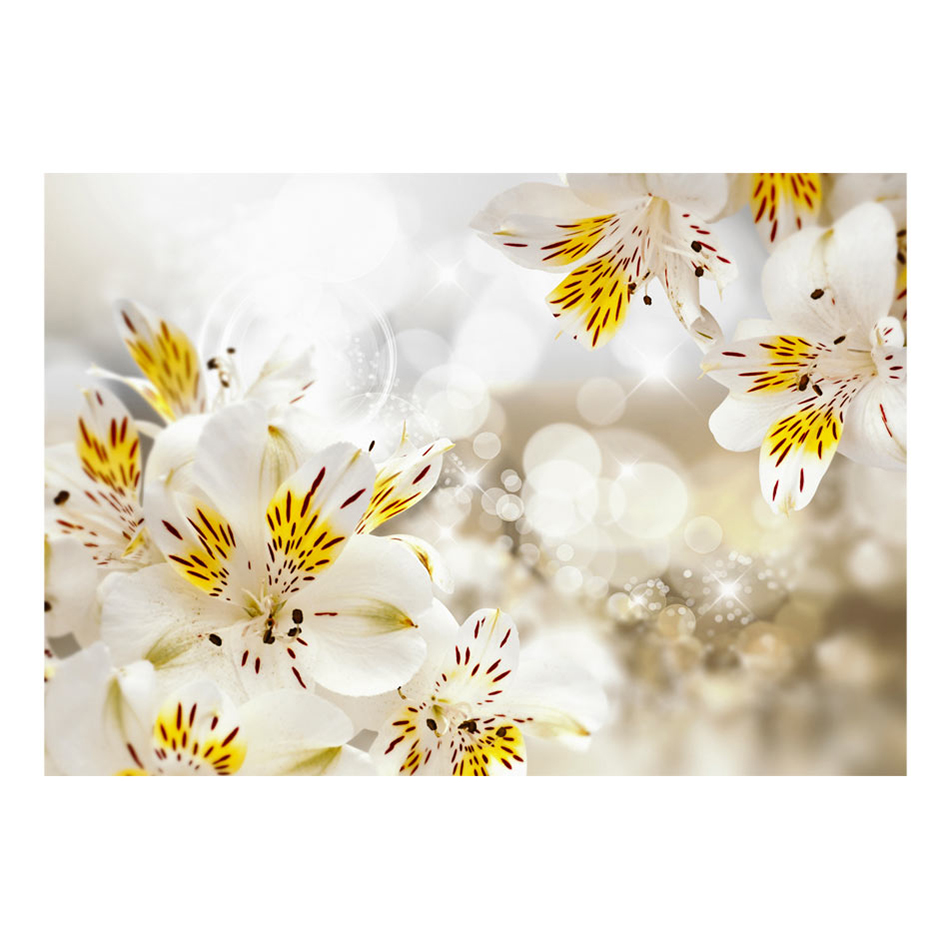 Fototapet Arkiio Sunny Alstroemeria