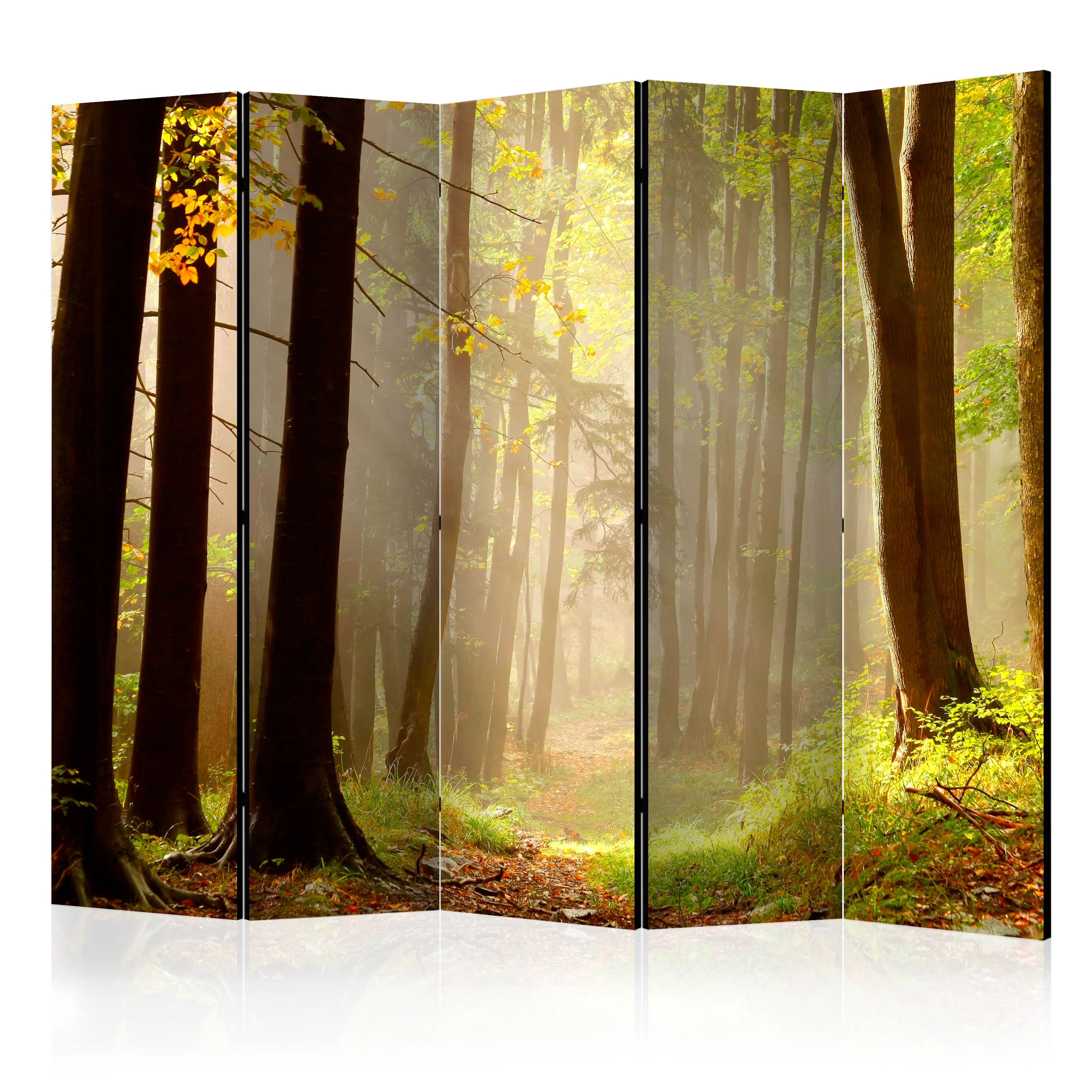 Rumsavdelare Skärmvägg Arkiio Mysterious Forest Path II 225x172 cm