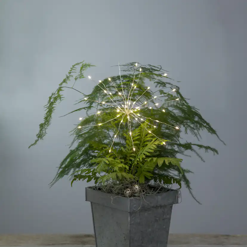 DekorationskvistFirework Kallvit/Silver