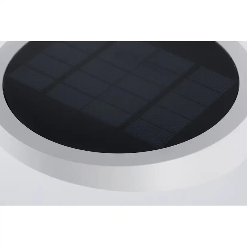 Fasadbelysning Solcell Paulmann Ryse LED med Rörelsesensor IP44 Färg: Vit
