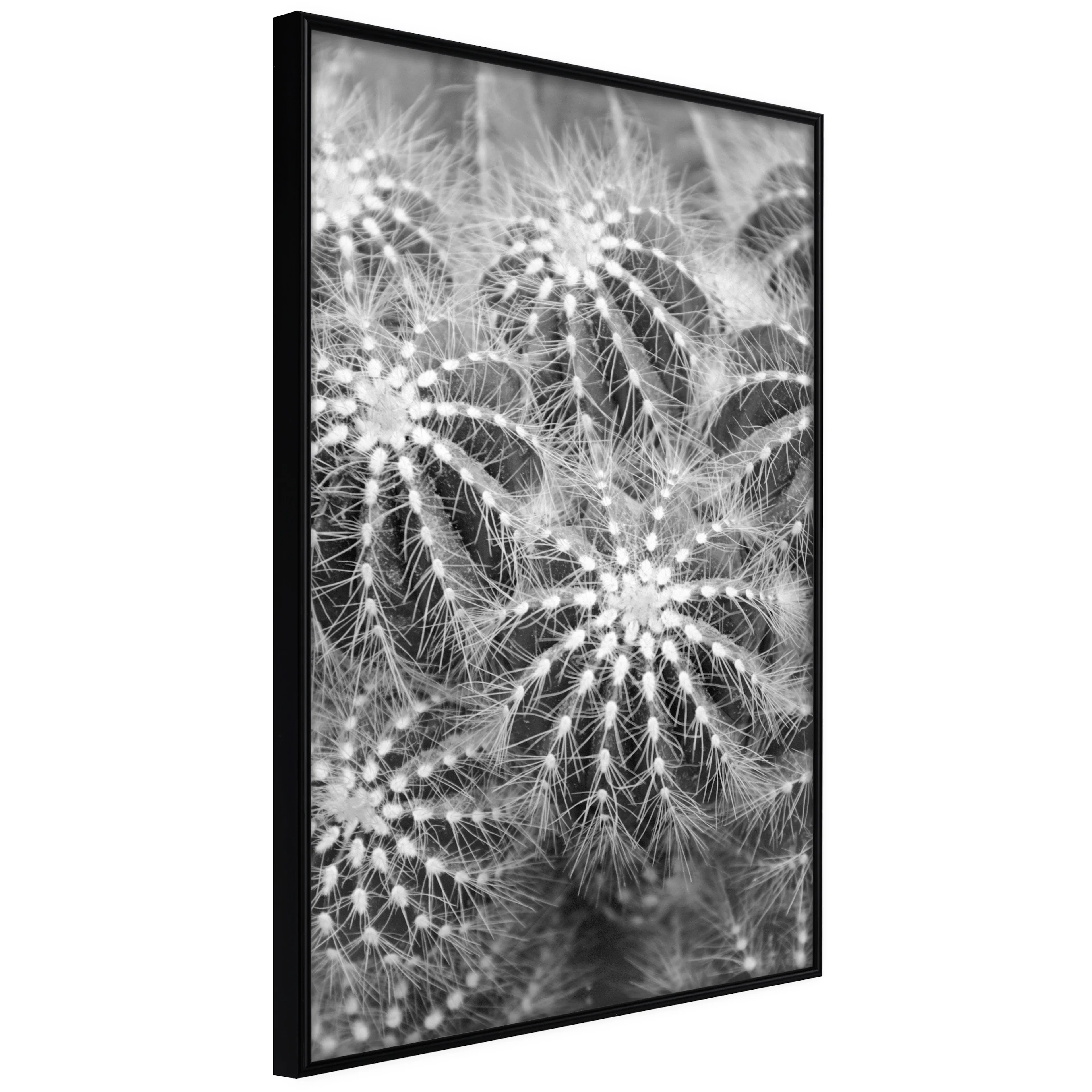Affisch - Risky Adventure [Poster] 40x60 Svart ram, 40x60 cm