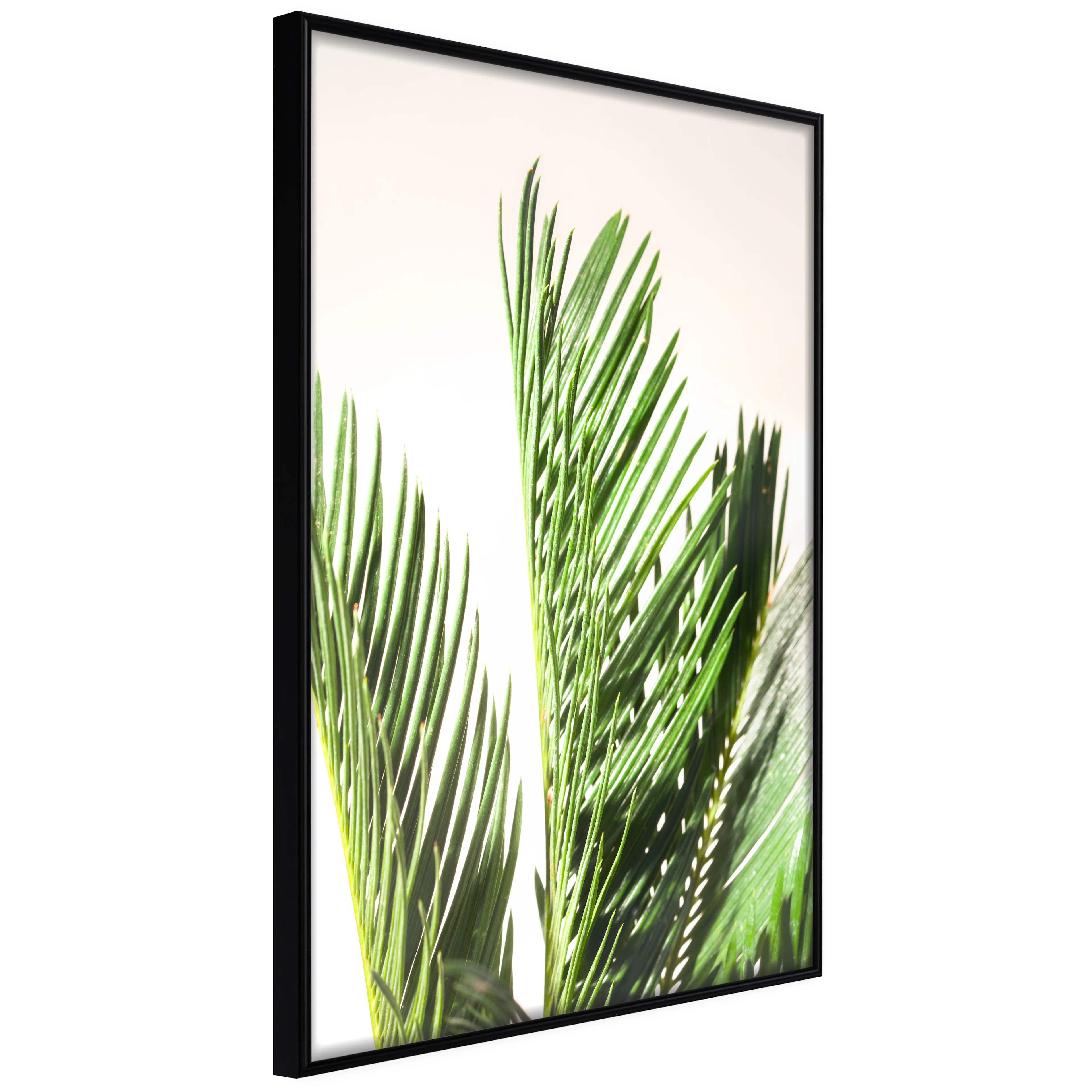 Affisch - Plant Detail [Poster] 20x30 Svart ram, 20x30 cm