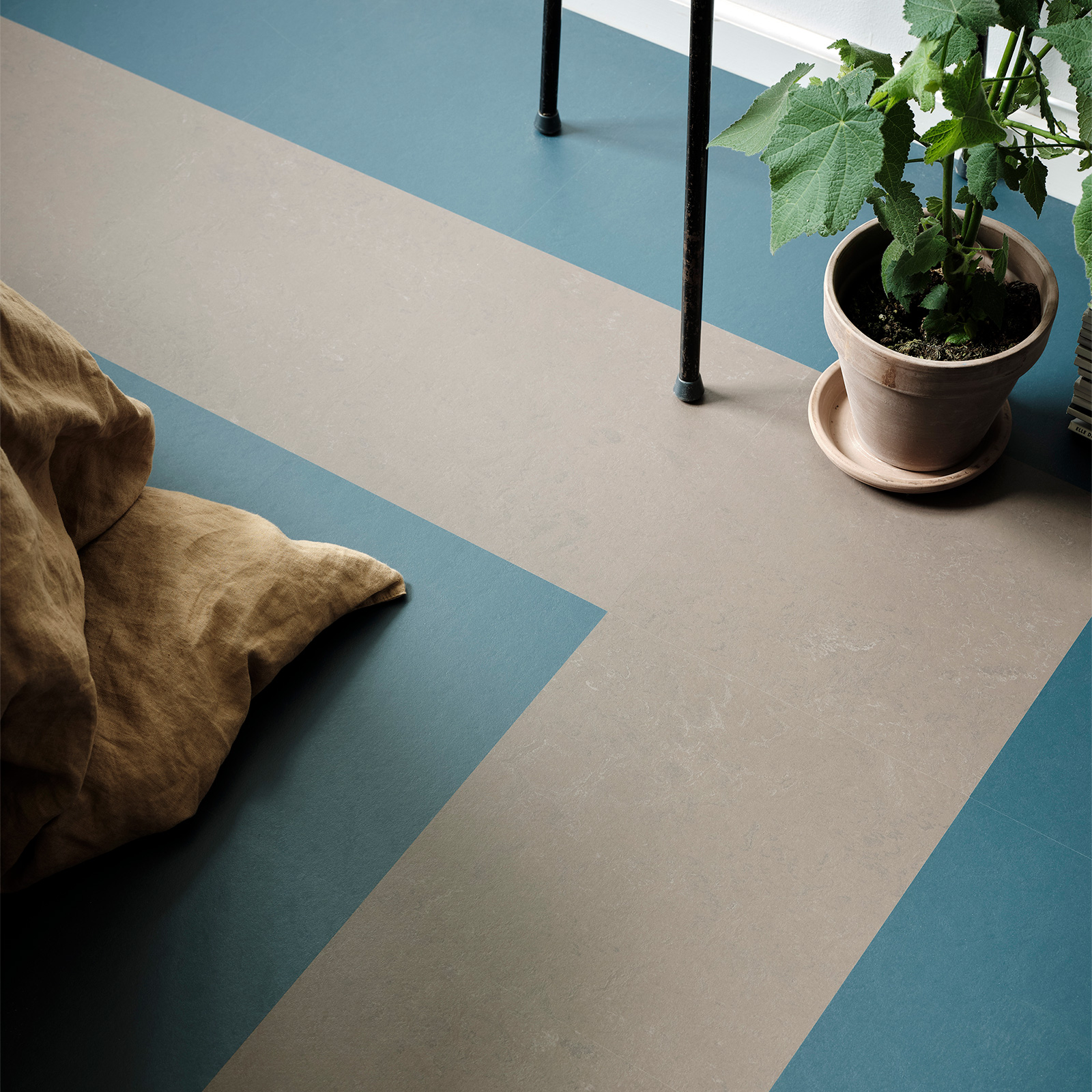 Linoleumgolv Forbo Marmoleum Click Delta Lace 30x30cm med Klicksystem
