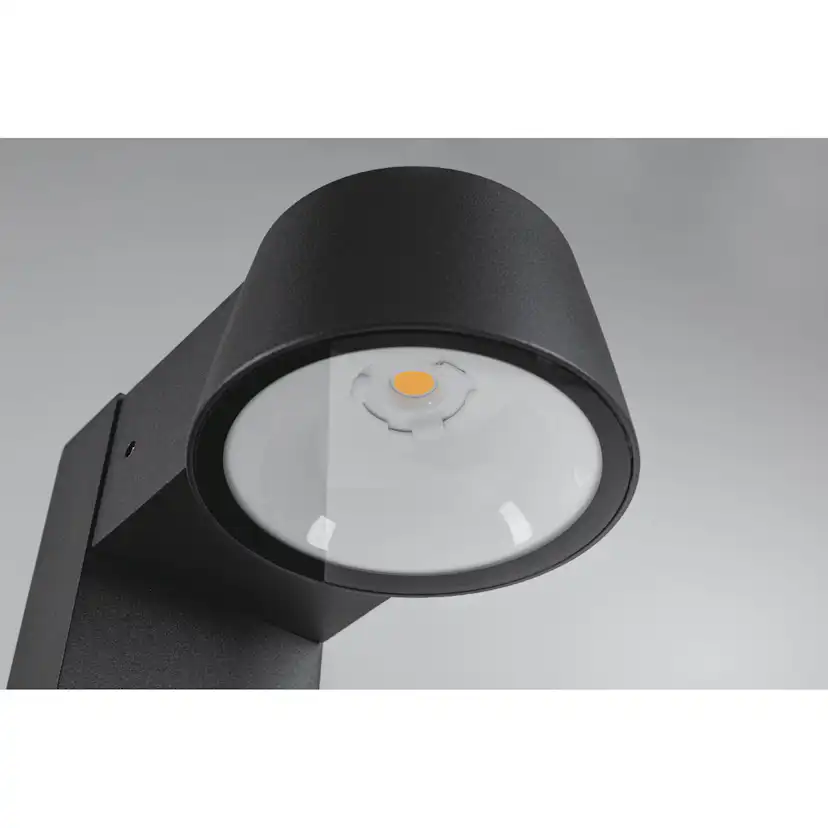 Pollare LED Paulmann Capea IP44 230V Ljus: Gold Light (insektsvänlig)