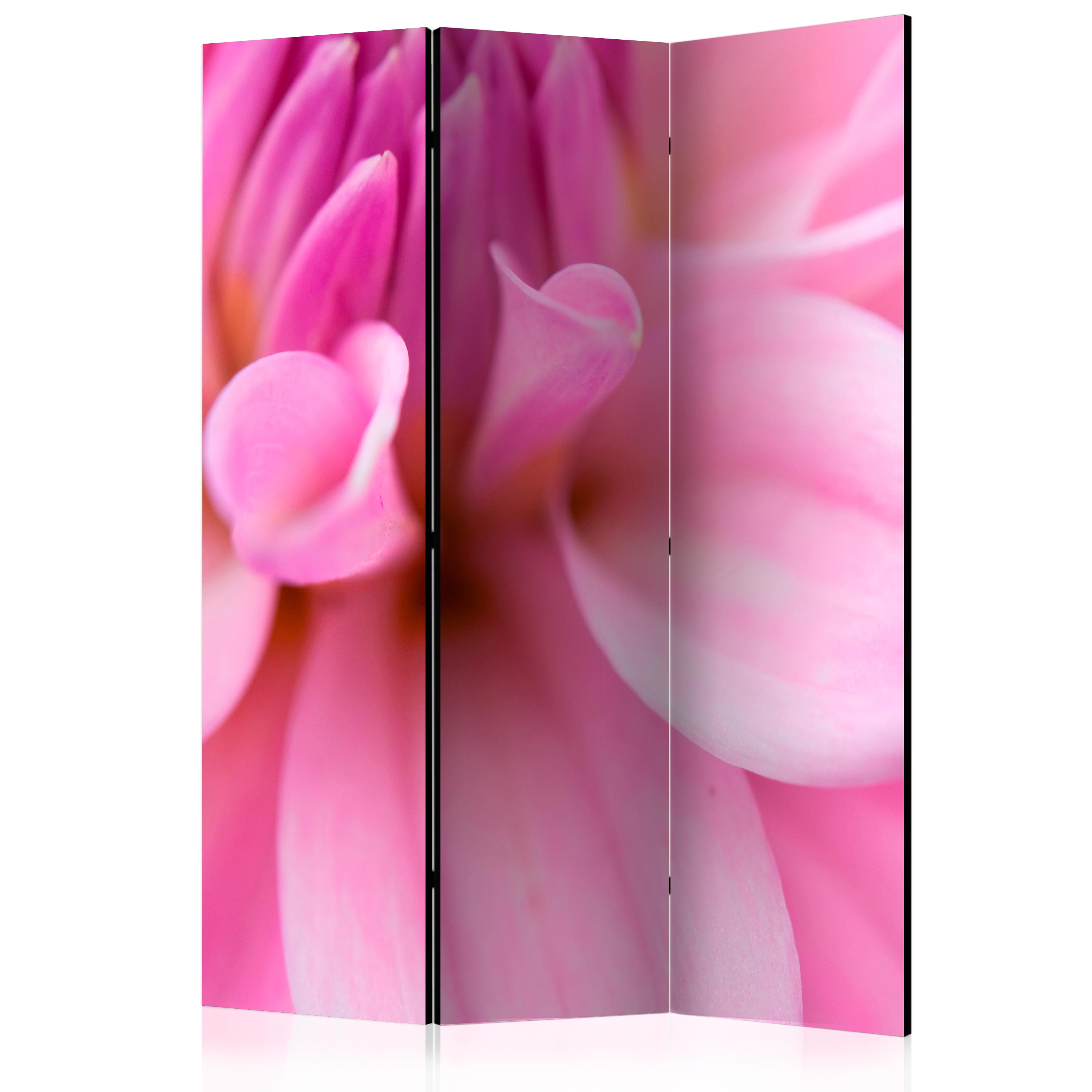 Rumsavdelare Skärmvägg Arkiio Flower Petals Dahlia 135x172 cm