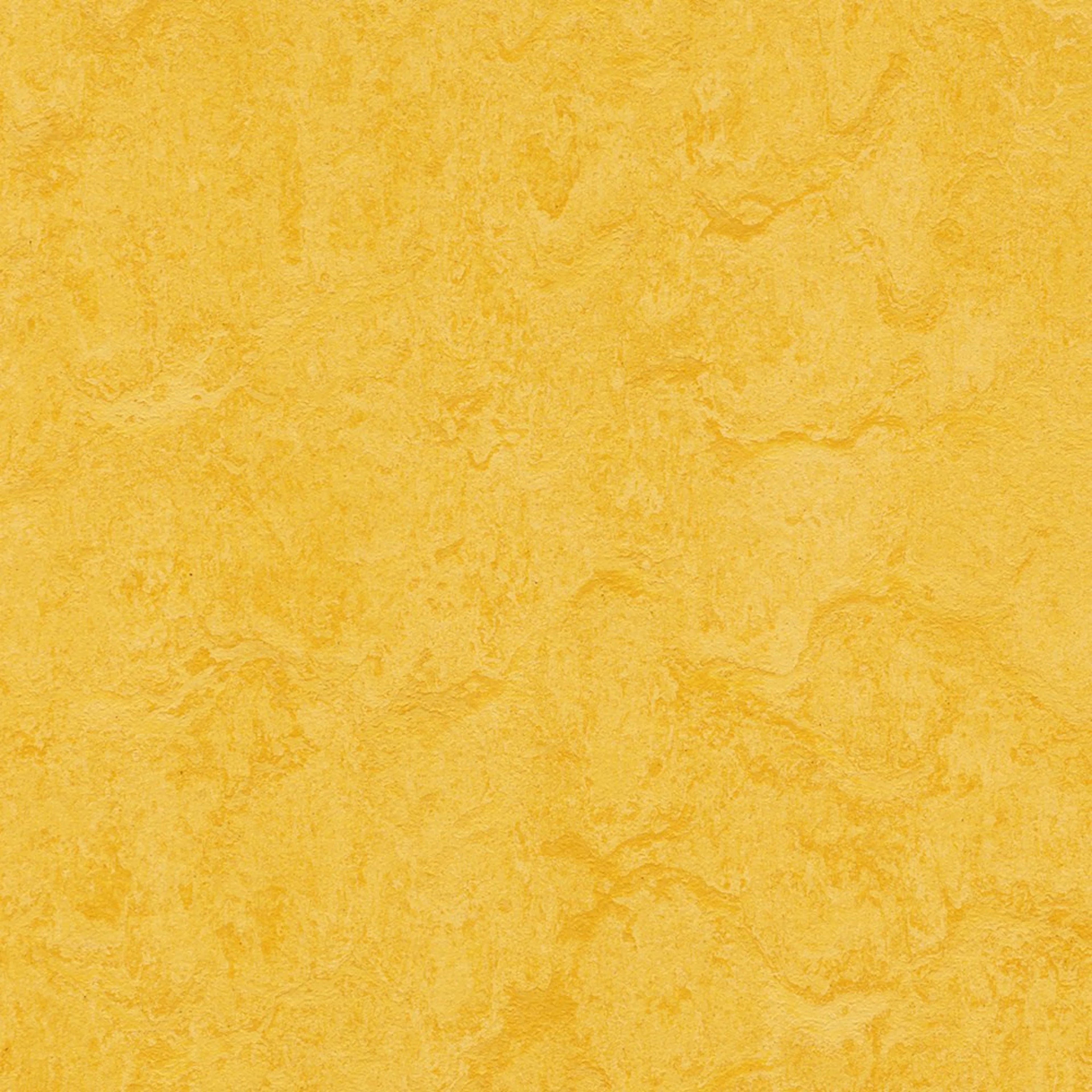 Linoleumgolv Forbo Marmoleum Click Lemon Zest 30x30 cm, Grön med Klickläggning_NEW