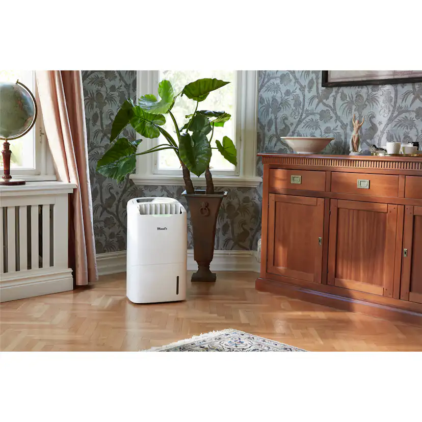 Avfuktare/Luftrenare Wood's AD30G