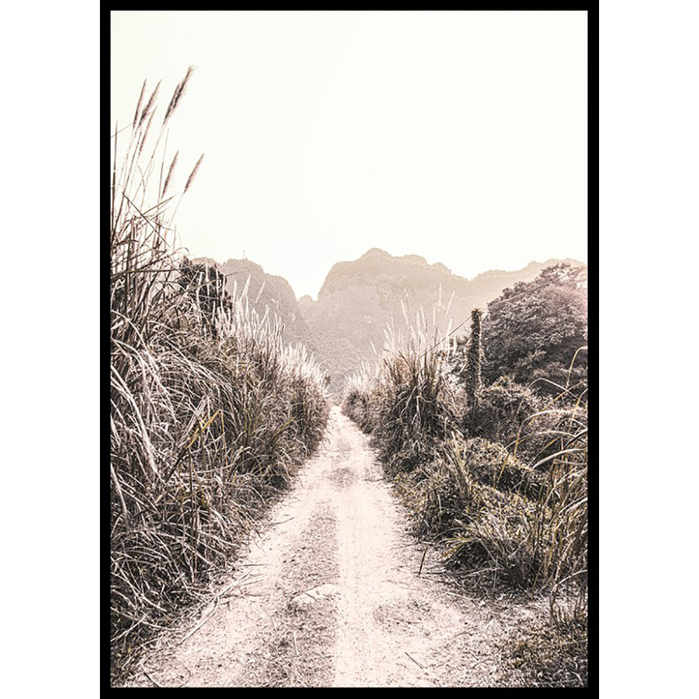 Poster Gallerix Dirt Road In Grass Fields