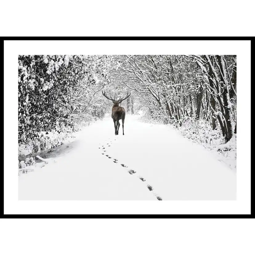 Poster Gallerix Deer Forest Walk