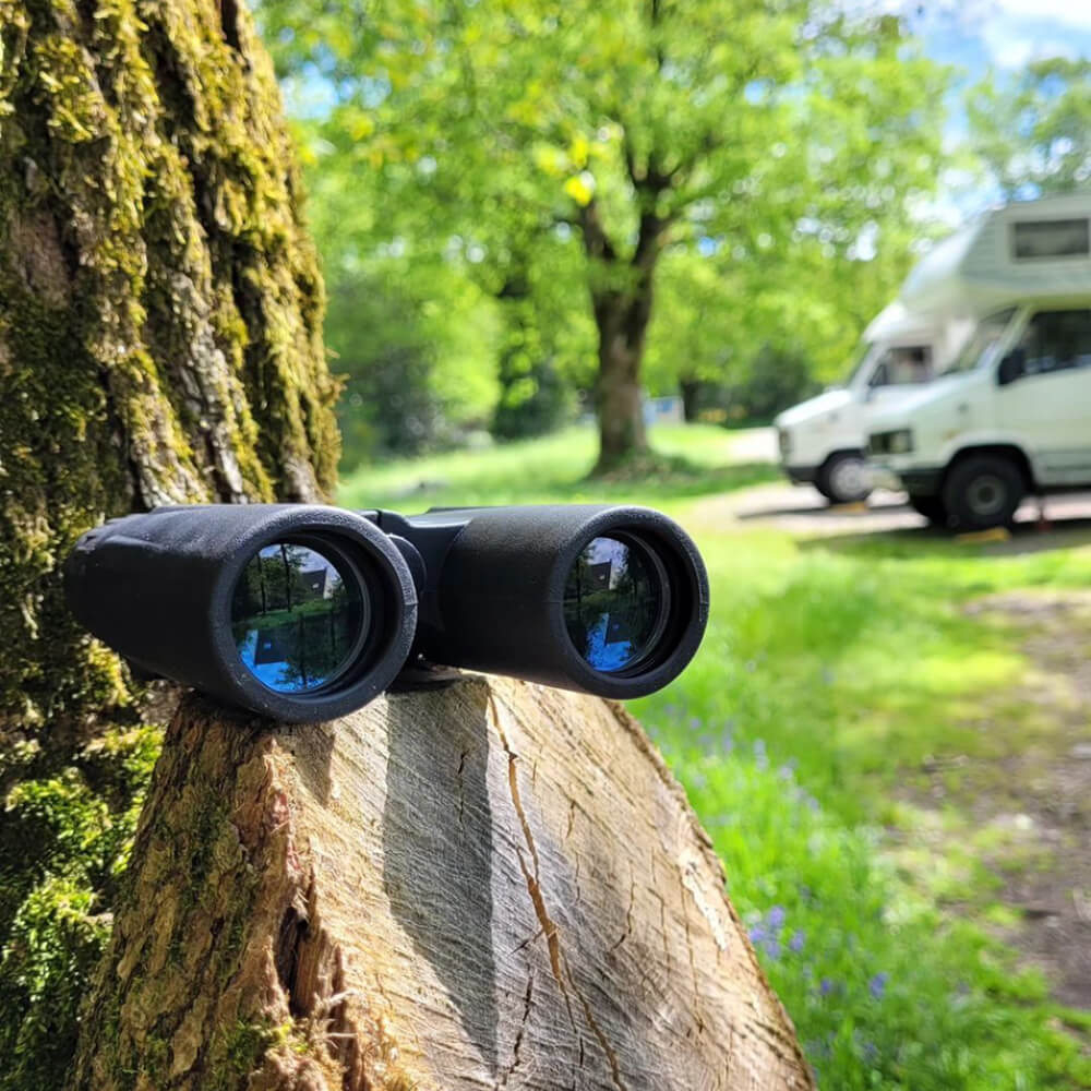 Kikare Kodak 12x32 BCS600BK