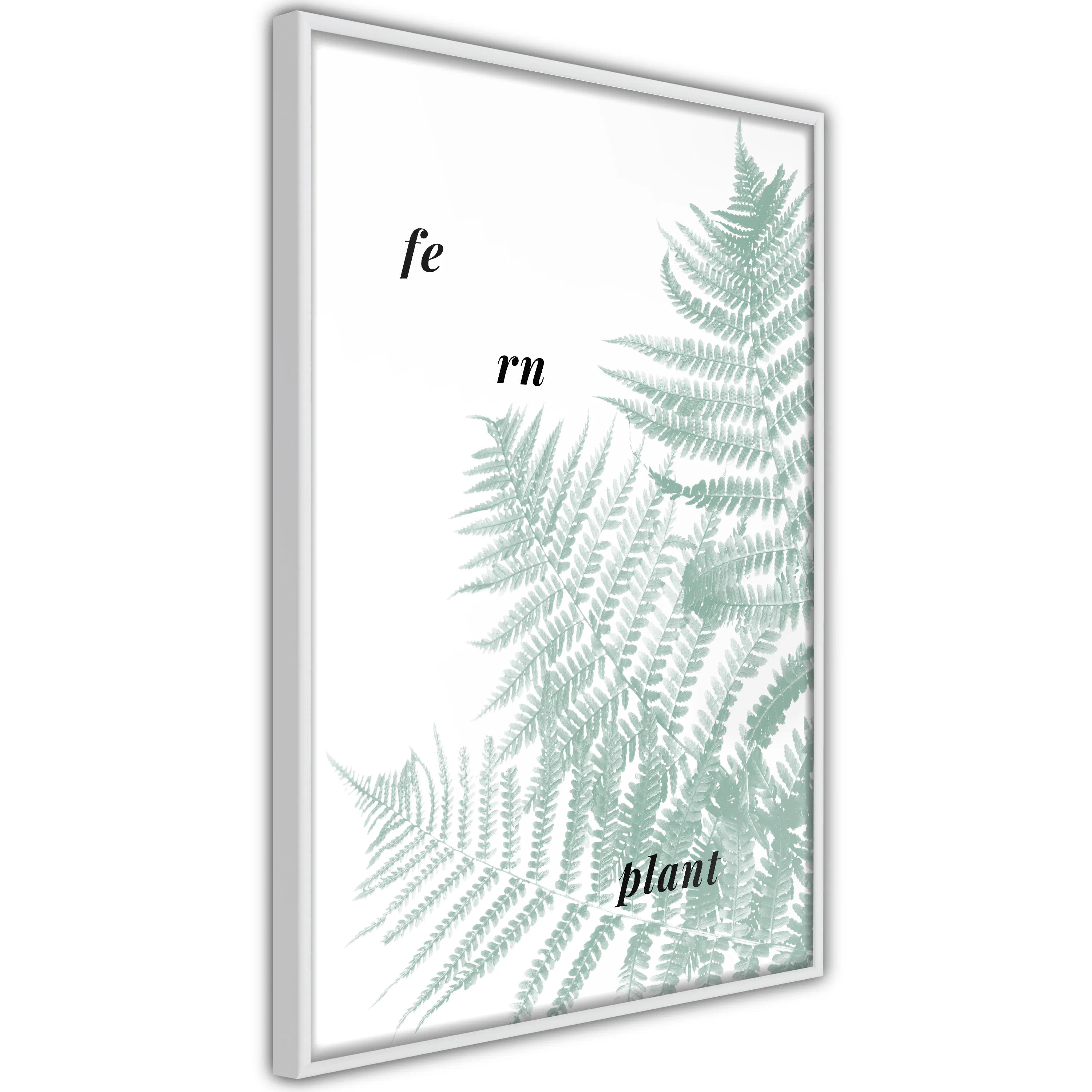 Poster Artgeist Affisch Fern Plant