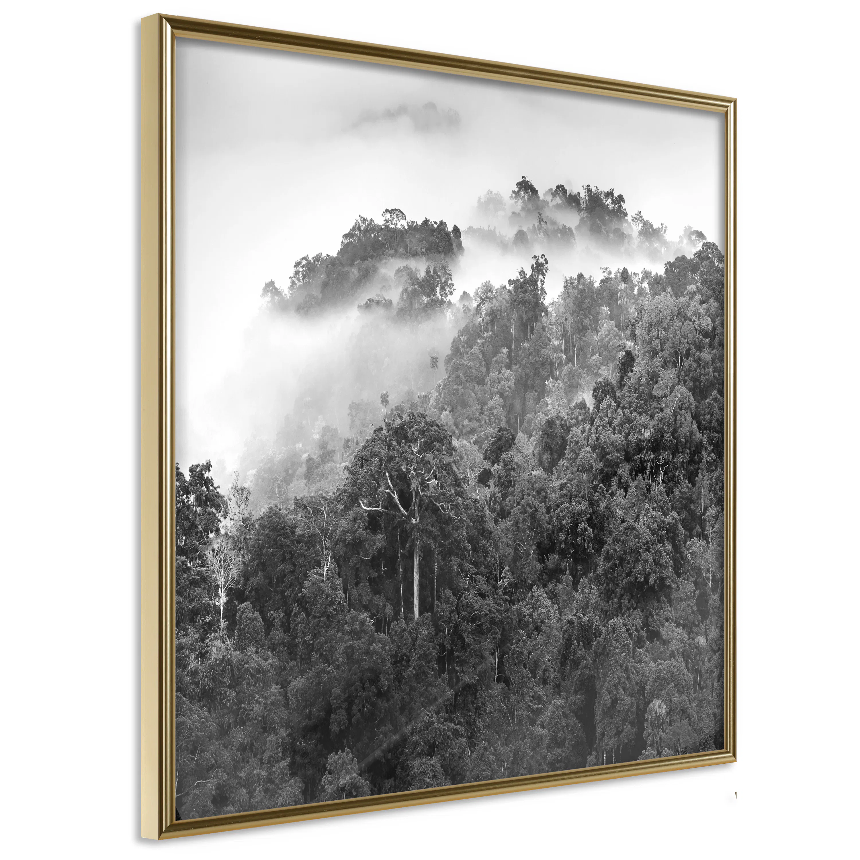 Poster Artgeist Affisch Rainforest