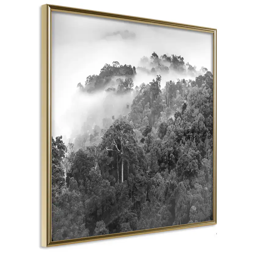 Poster Artgeist Affisch Rainforest