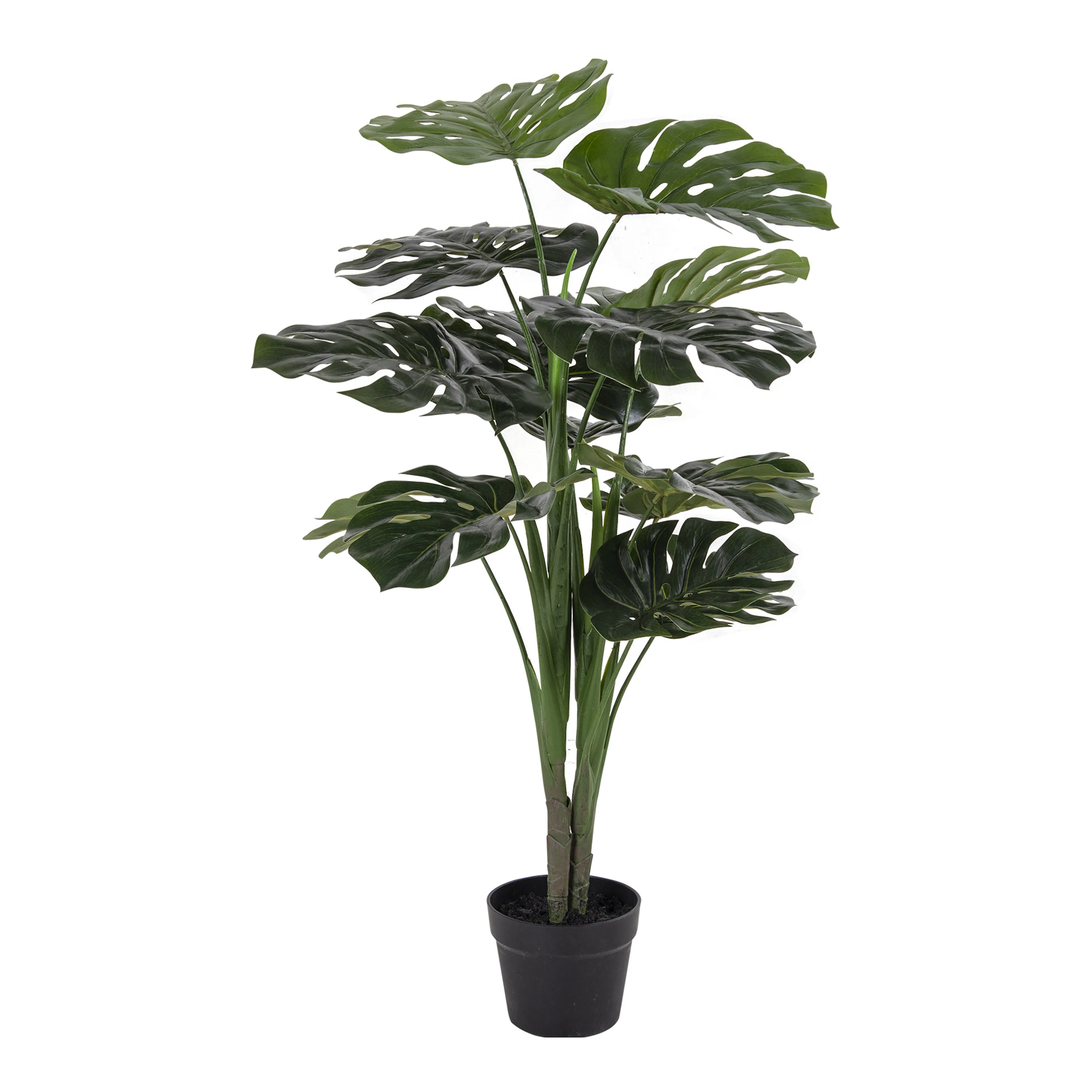 Konstväxt House Nordic Monstera