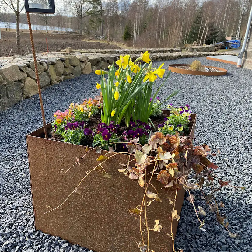 Ytterkruka Flexigarden Corten