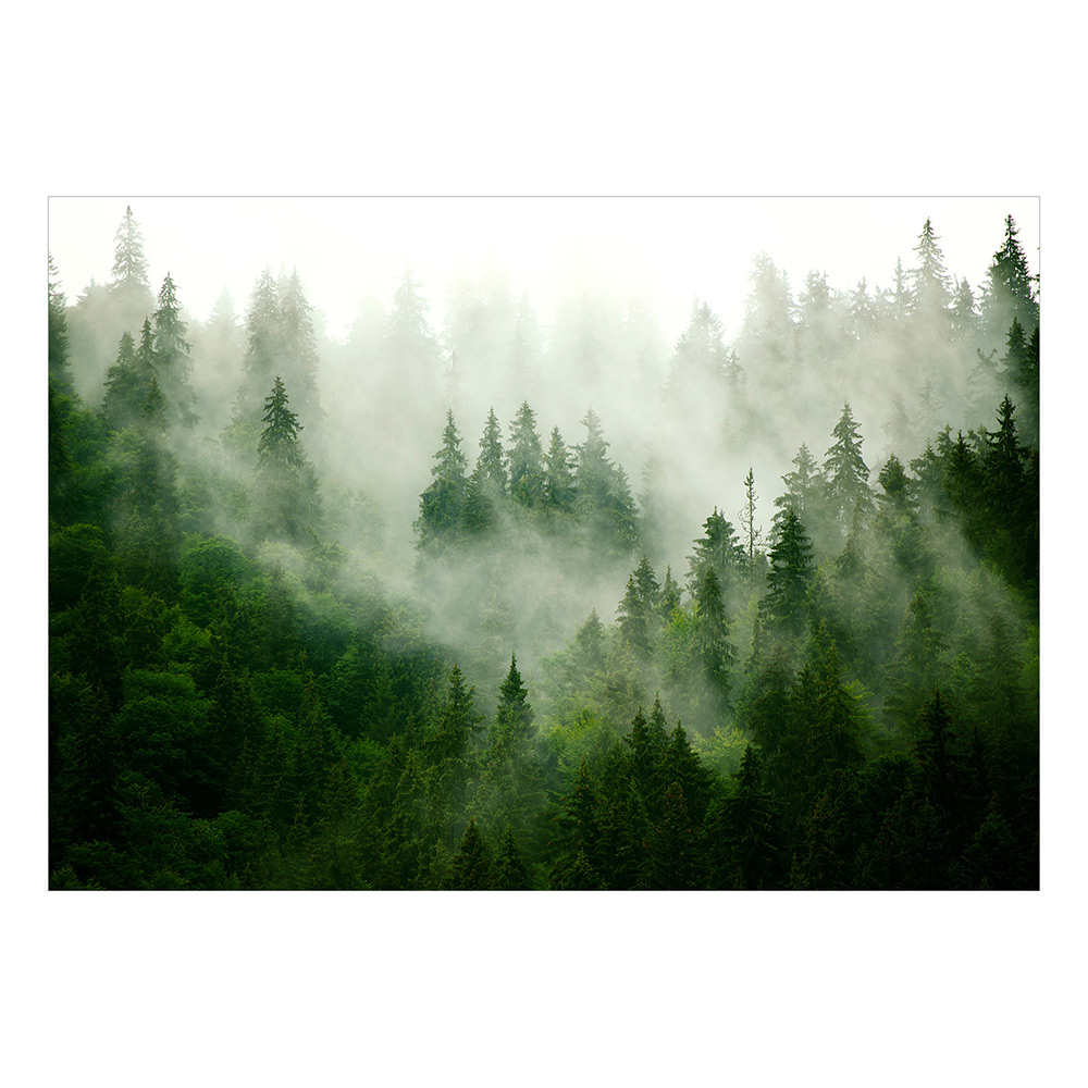 Fototapet Arkiio Mountain Forest (Green) Självhäftande