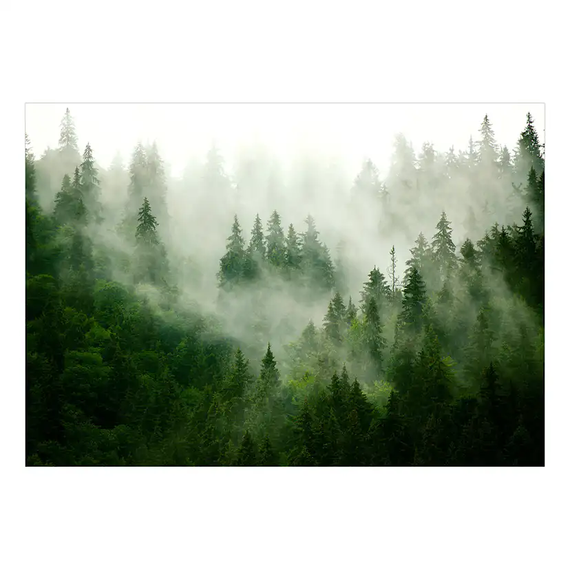 Fototapet Arkiio Mountain Forest (Green) Självhäftande