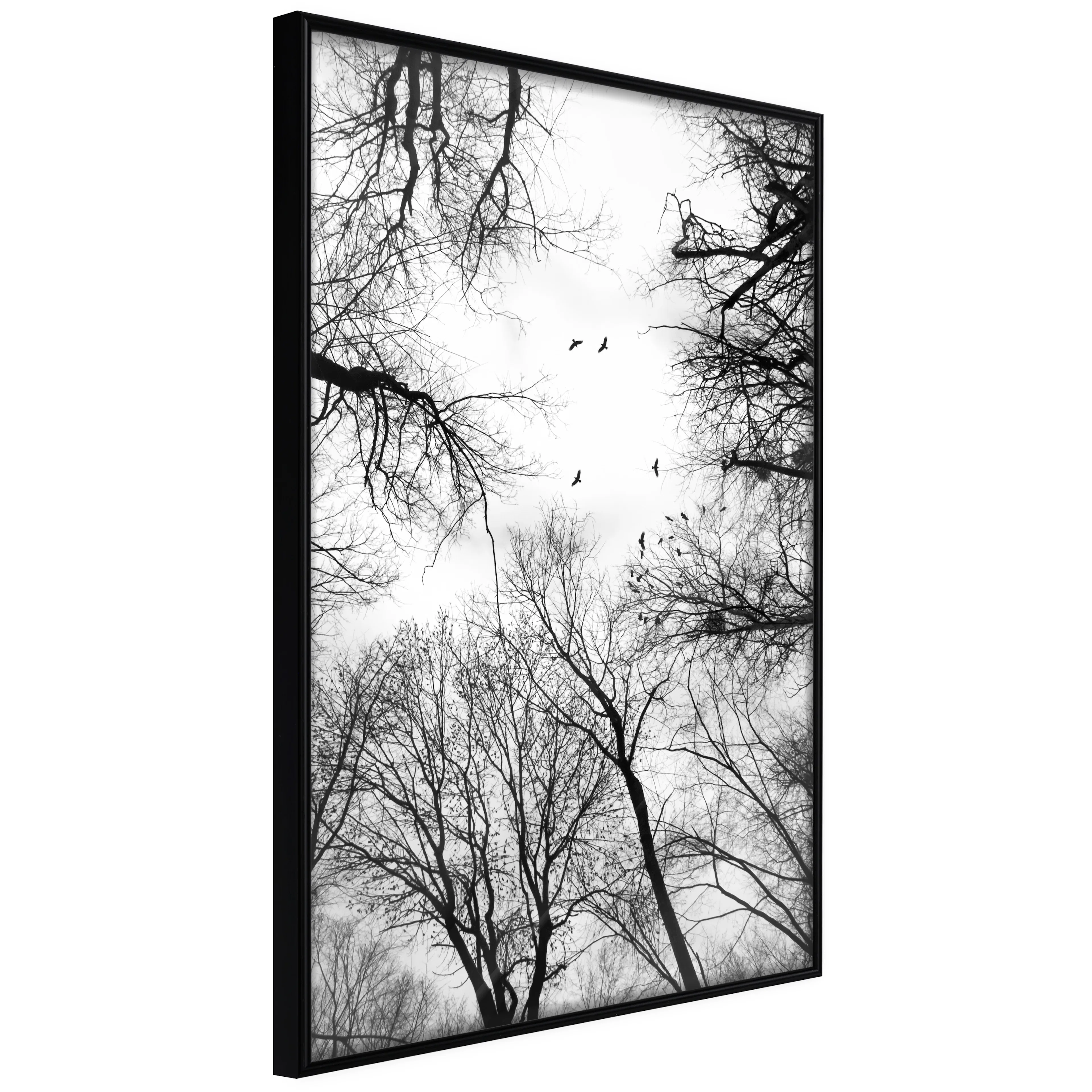 Affisch - Winter Flight [Poster] 20x30 Svart ram, 20x30 cm