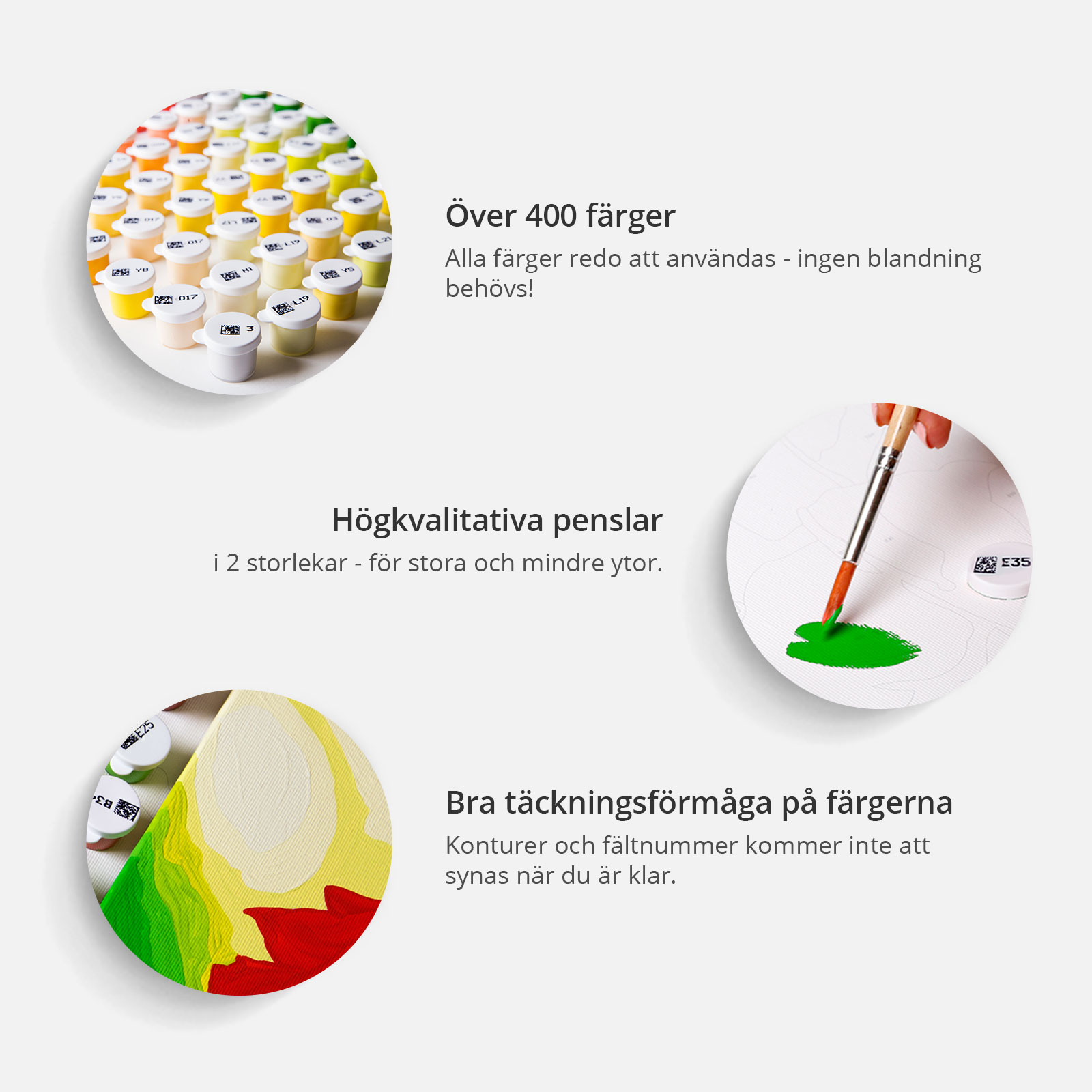 Gör-det-själv Målningar Arkiio Tropical Parrot