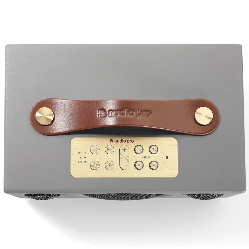 Högtalare Audio Pro C3