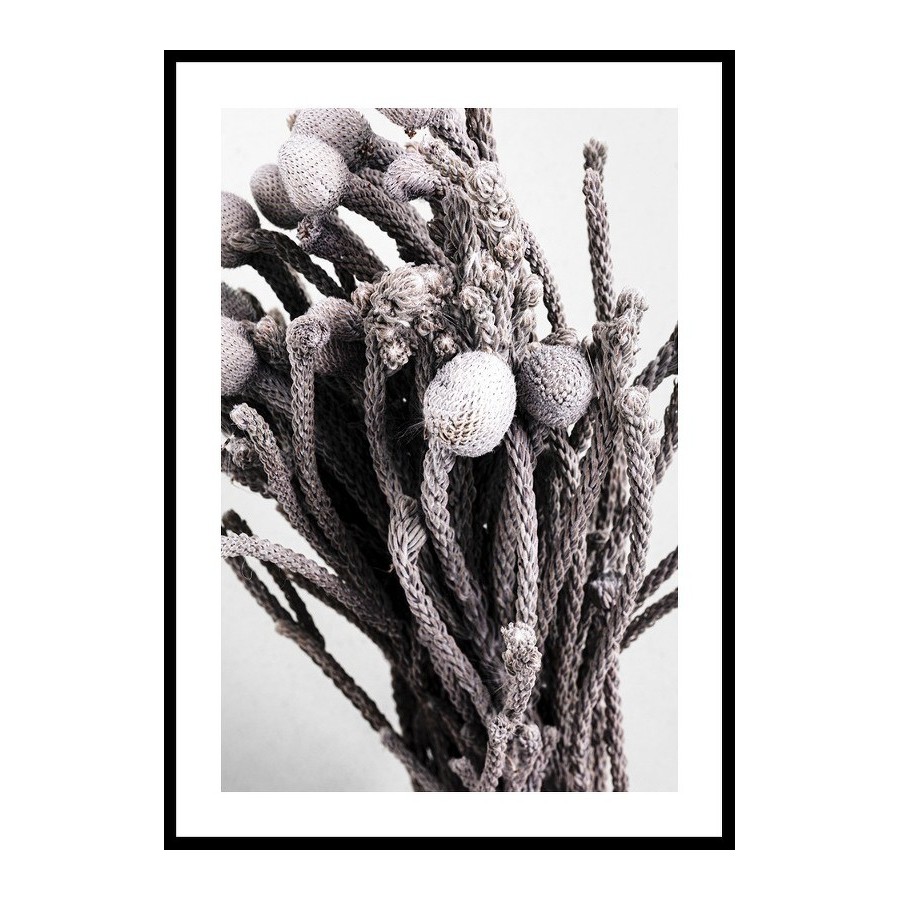 Poster Gallerix Dried Silver Brunia