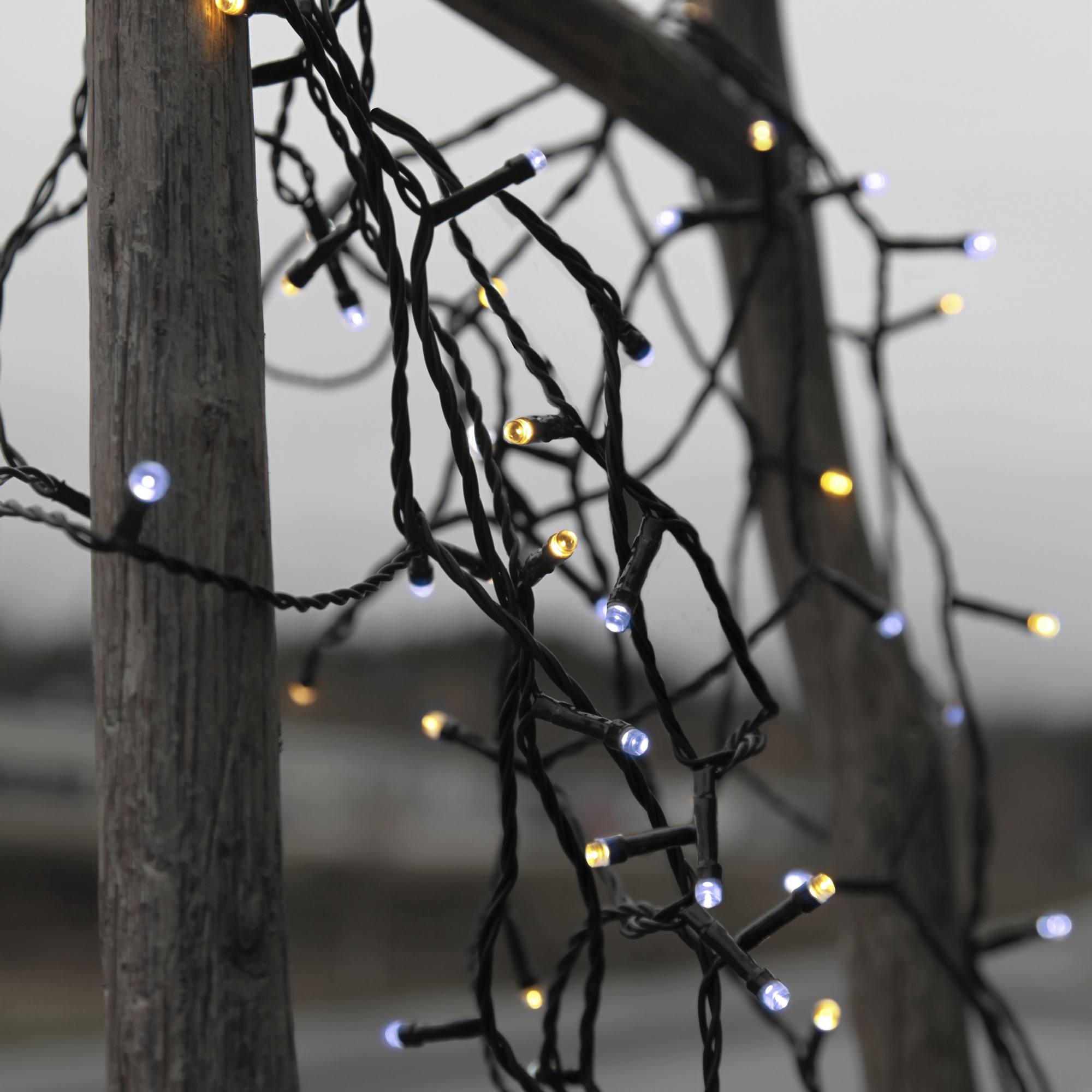 Ljusslinga Star Trading Serie LED Svart