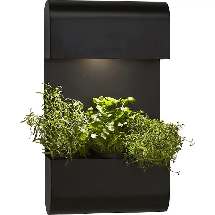 Vägglampa PR Home Planta