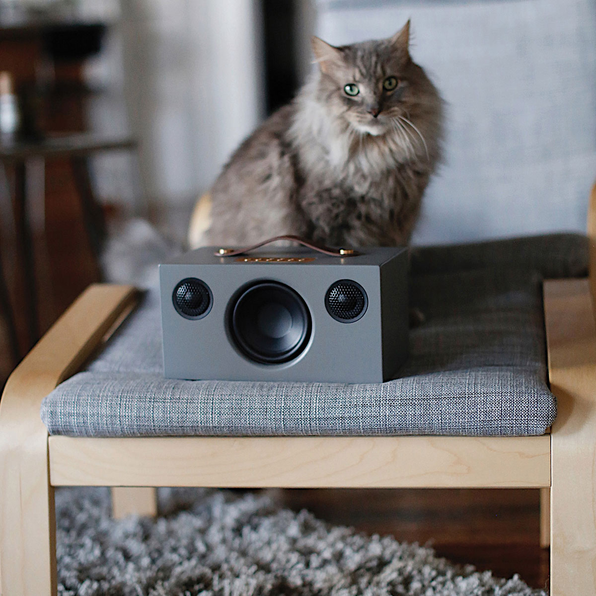 Högtalare Audio Pro Addon T3+