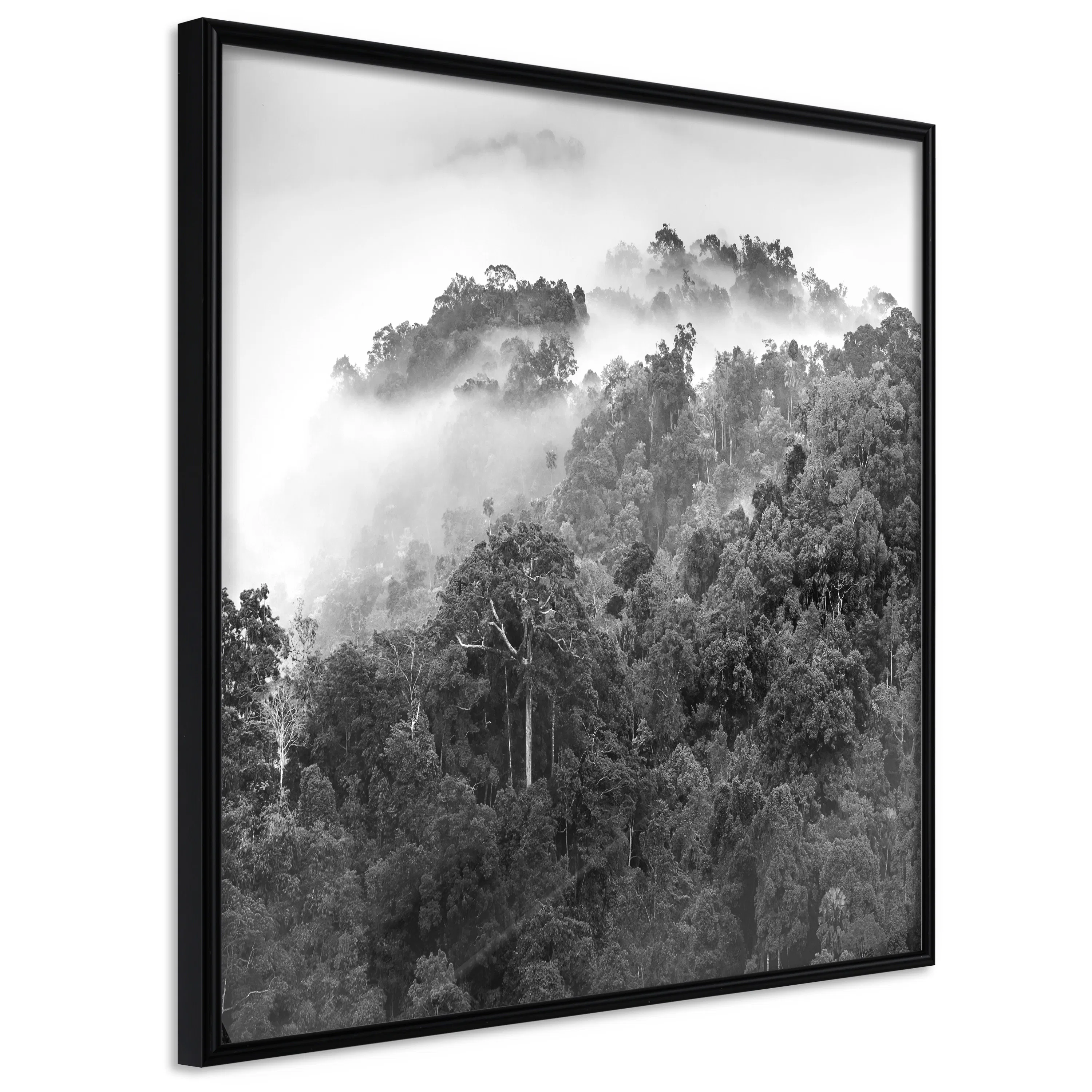 Poster Artgeist Affisch Rainforest