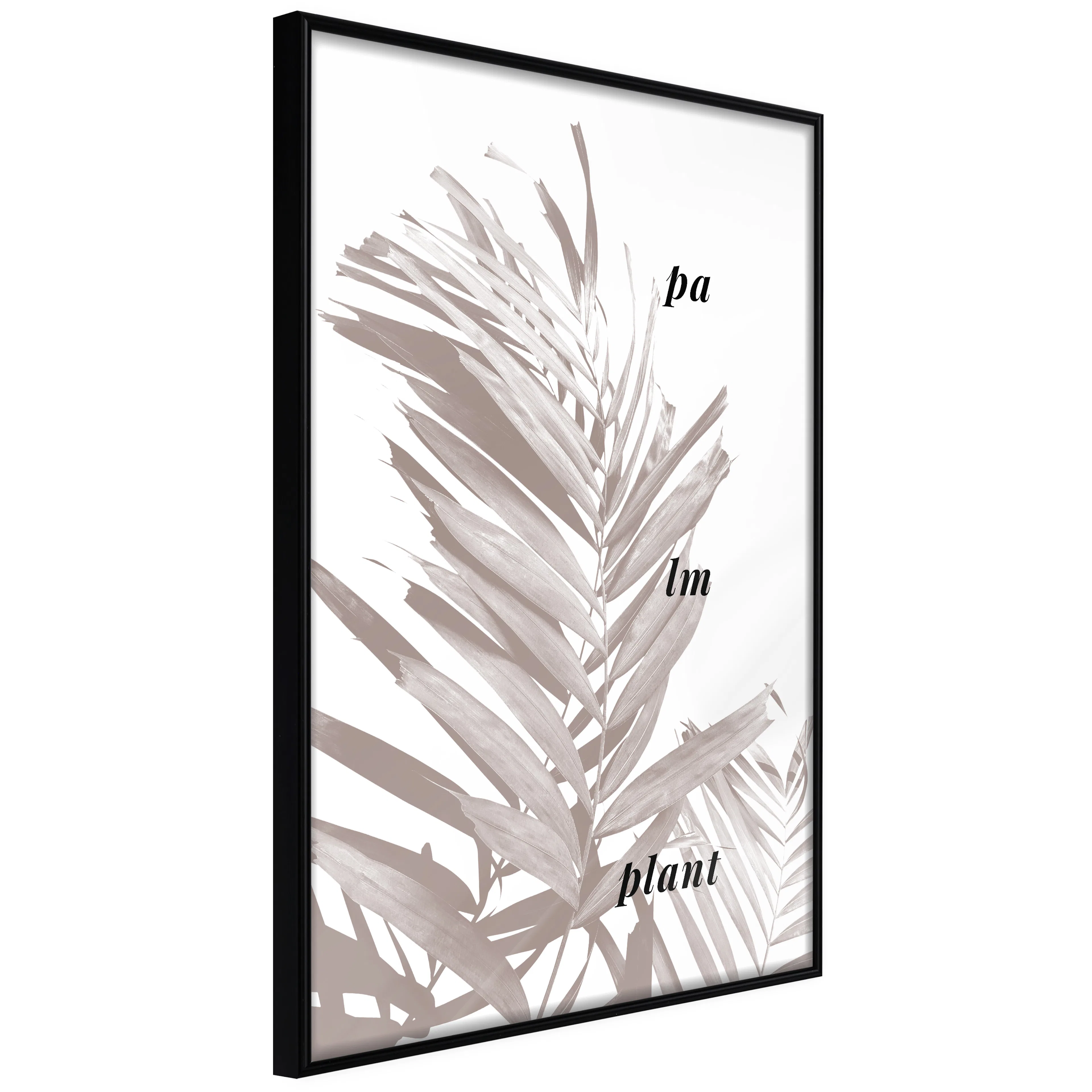 Affisch - Palm Plant [Poster] 20x30 Svart ram, 20x30 cm