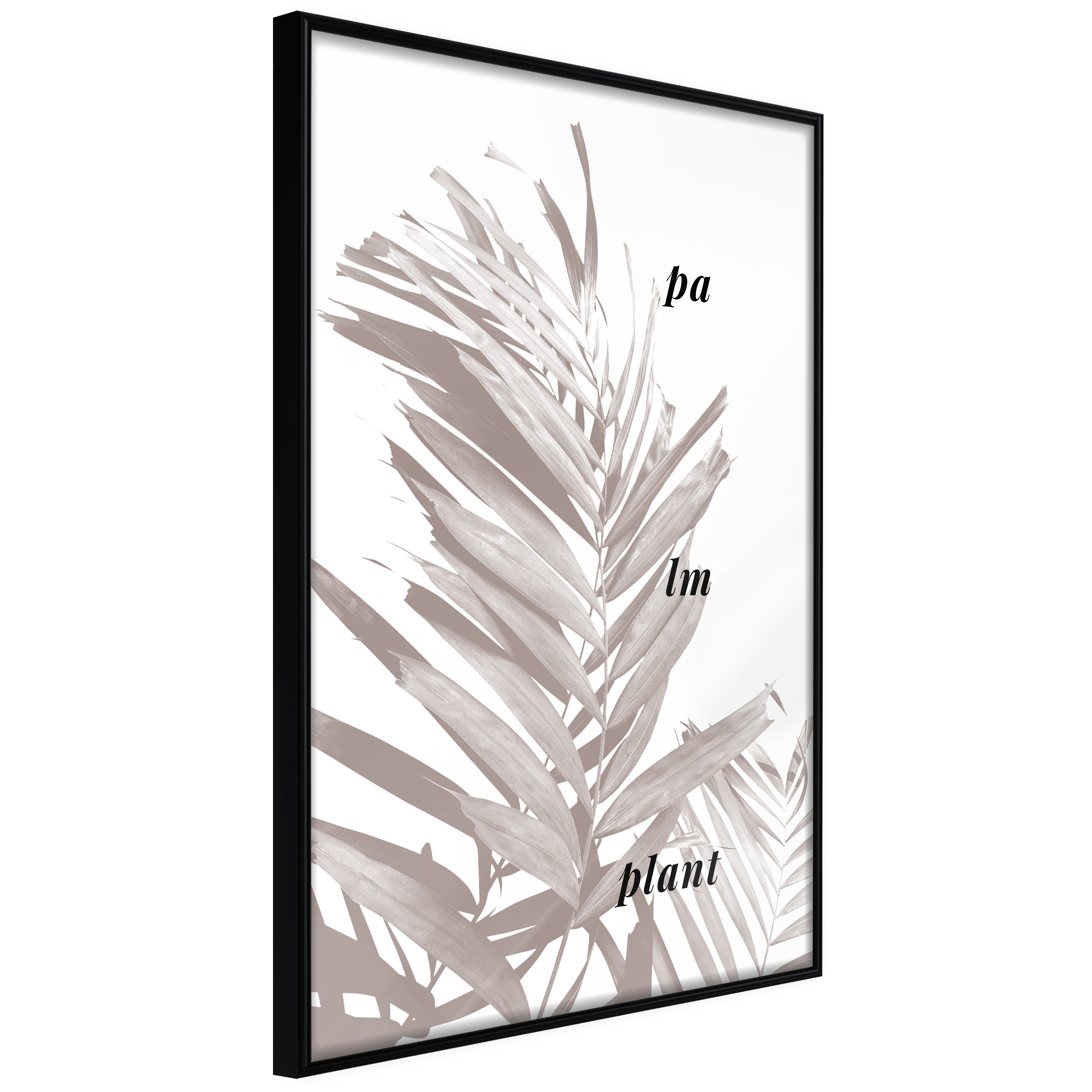 Poster Artgeist Affisch Palm Plant