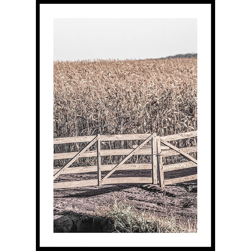 Poster Gallerix Dried Fields
