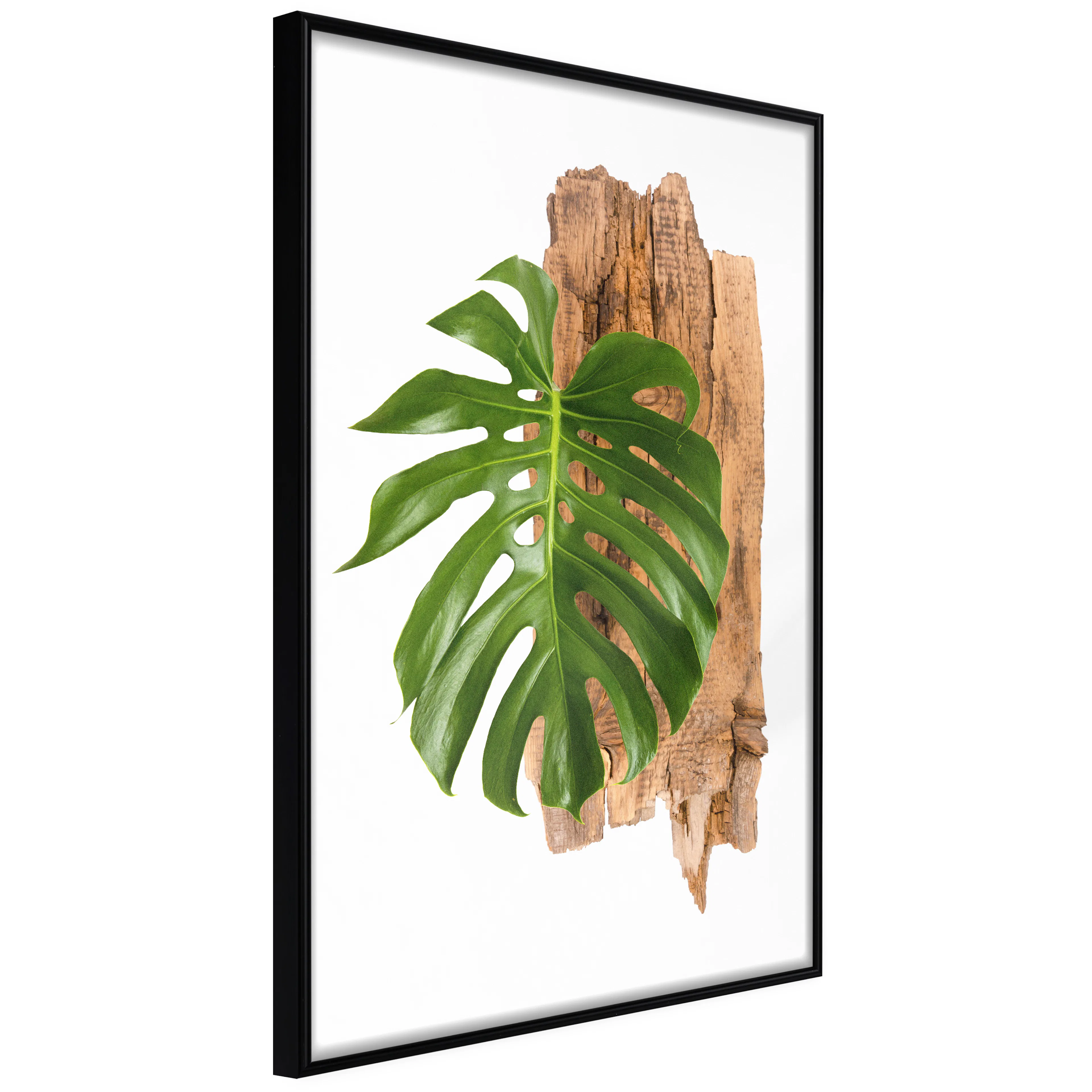 Affisch - Power of Nature [Poster] 20x30 Svart ram, 20x30 cm