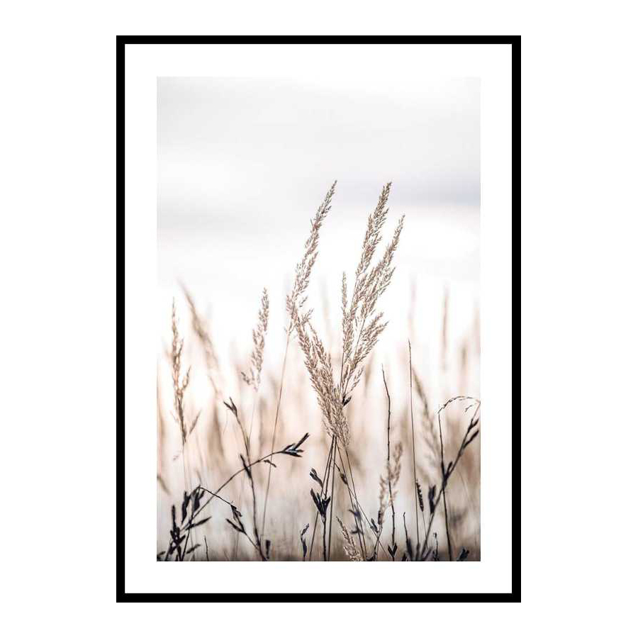 Poster Gallerix Sunset In The Field