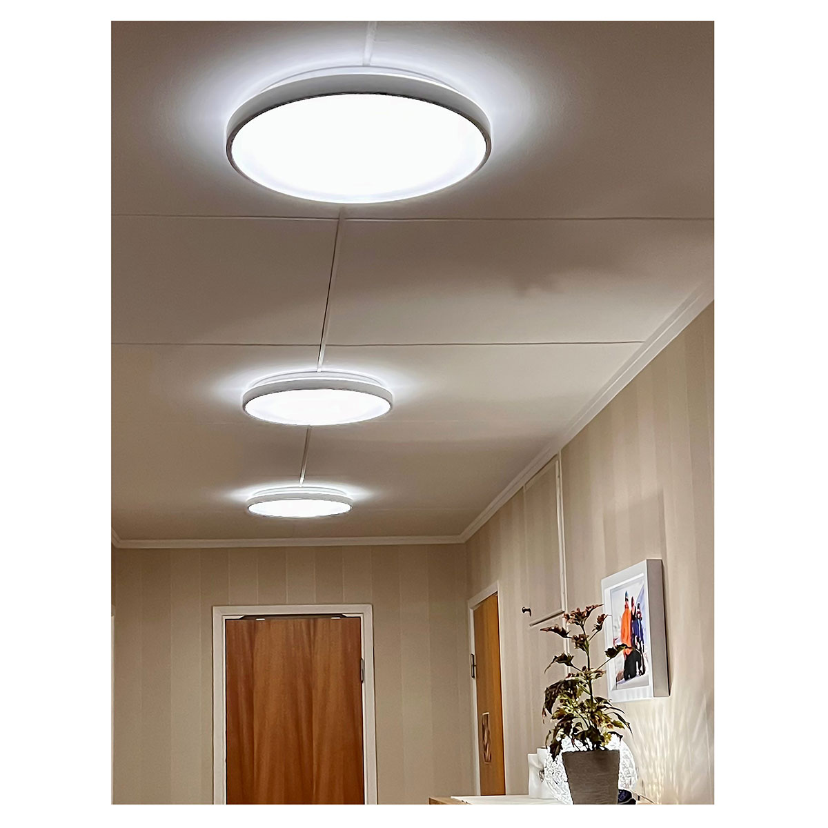 Plafond  Aneta Anillo