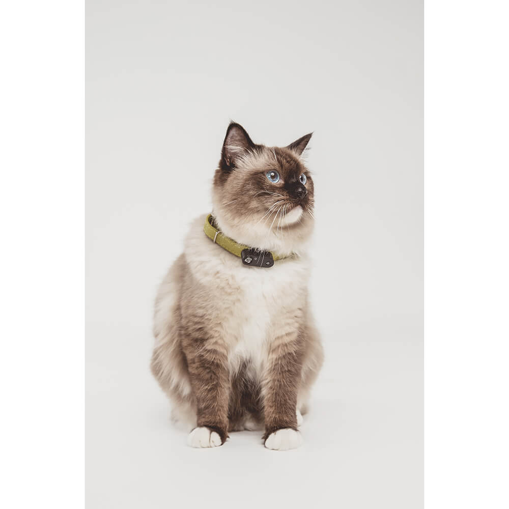 Fästingskydd TICKLESS Mini Katt Radie 2,5 m